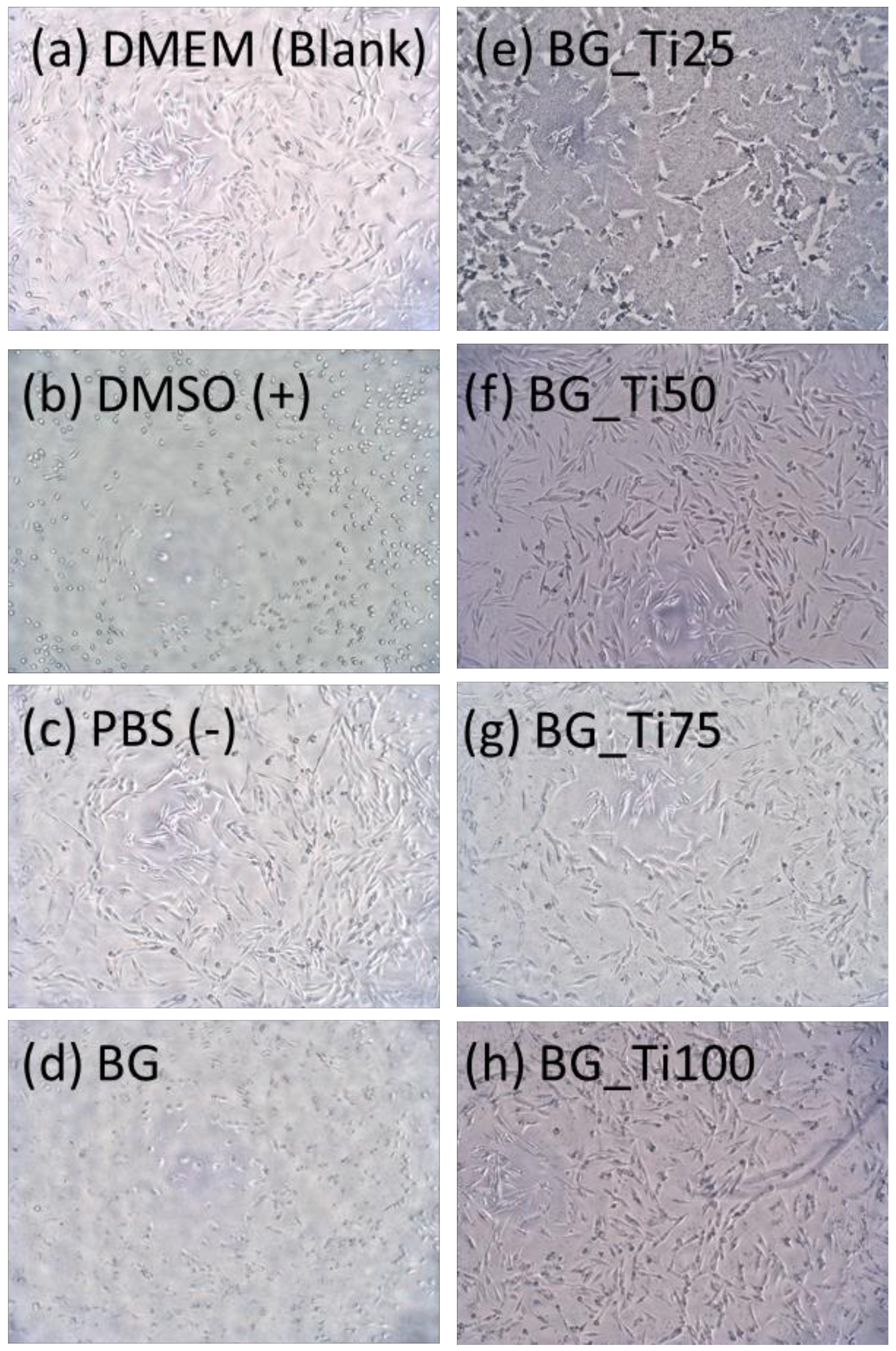 Applsci 09 00066 g005