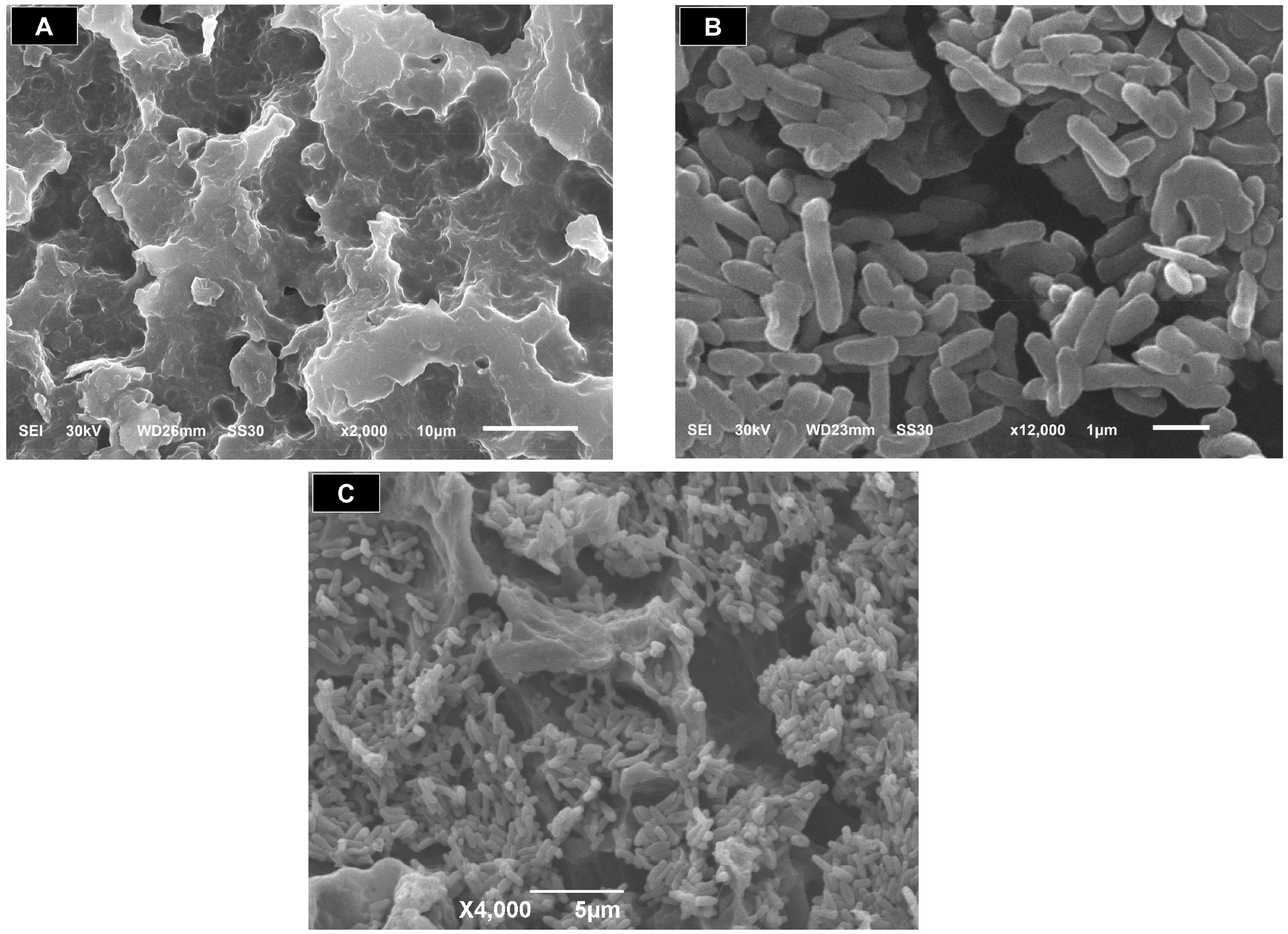 Applsci 09 00138 g002 Applsci 09 00138 g002