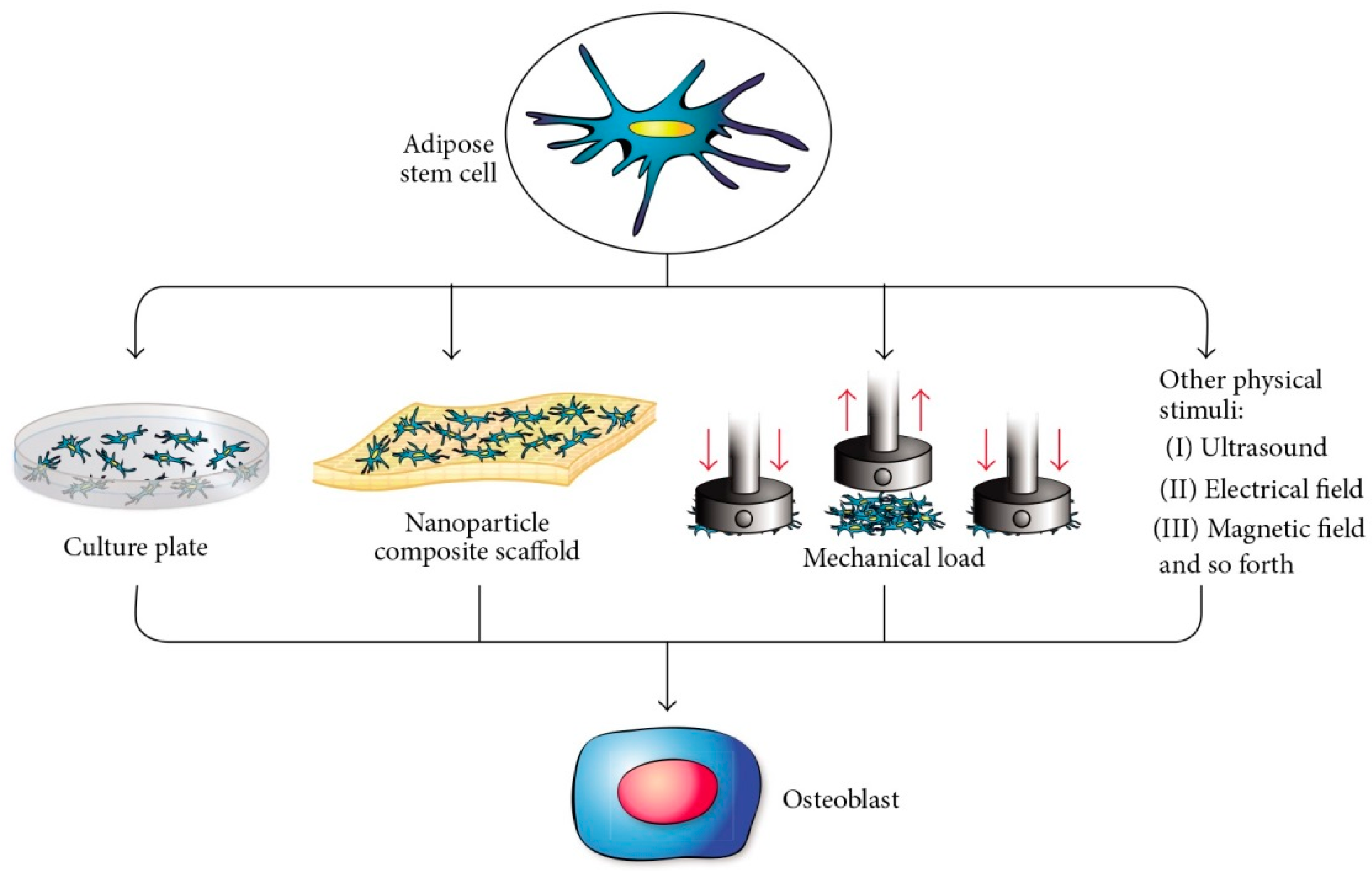 Applsci 09 00174 g007