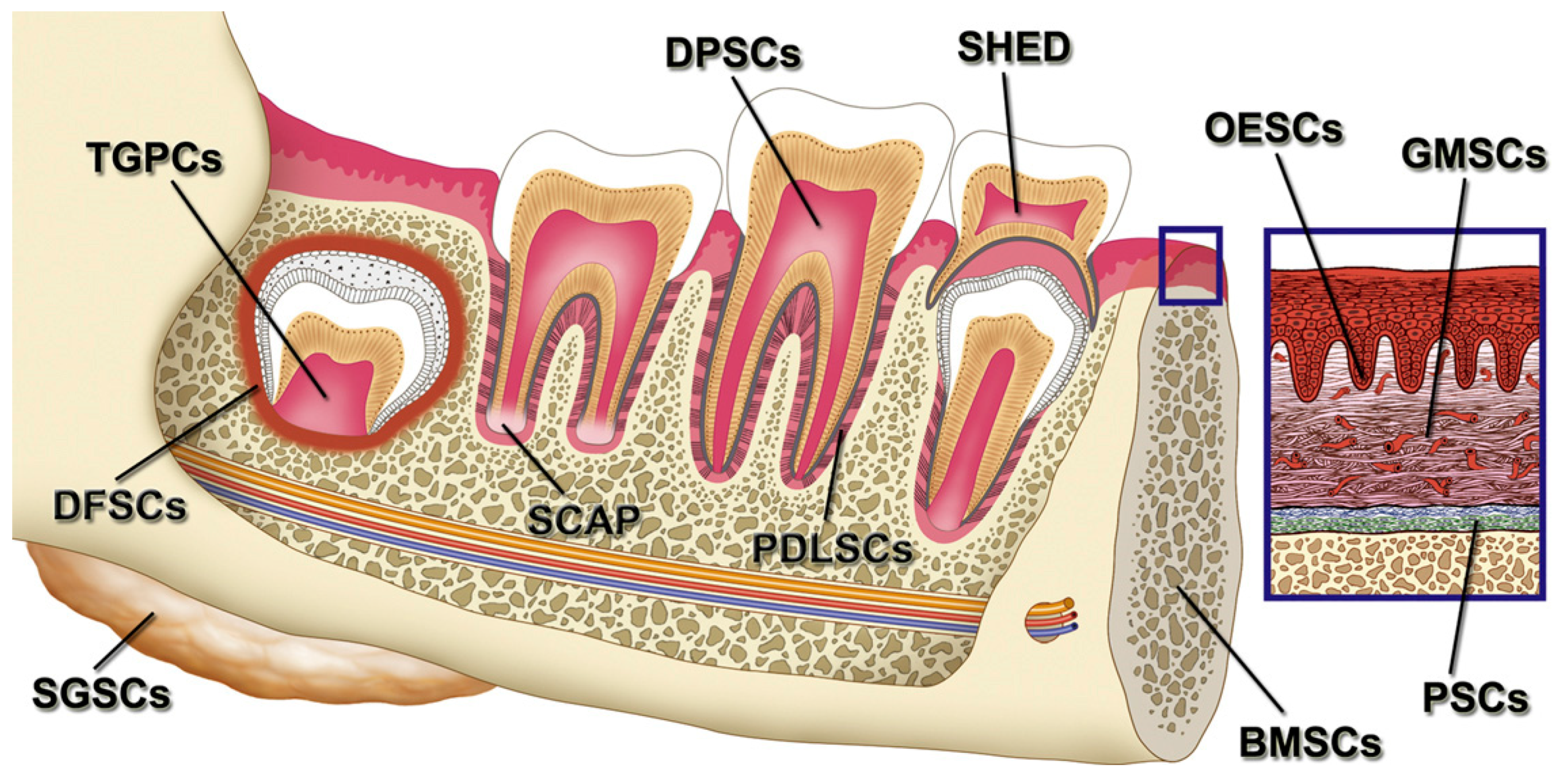 Applsci 09 00174 g009