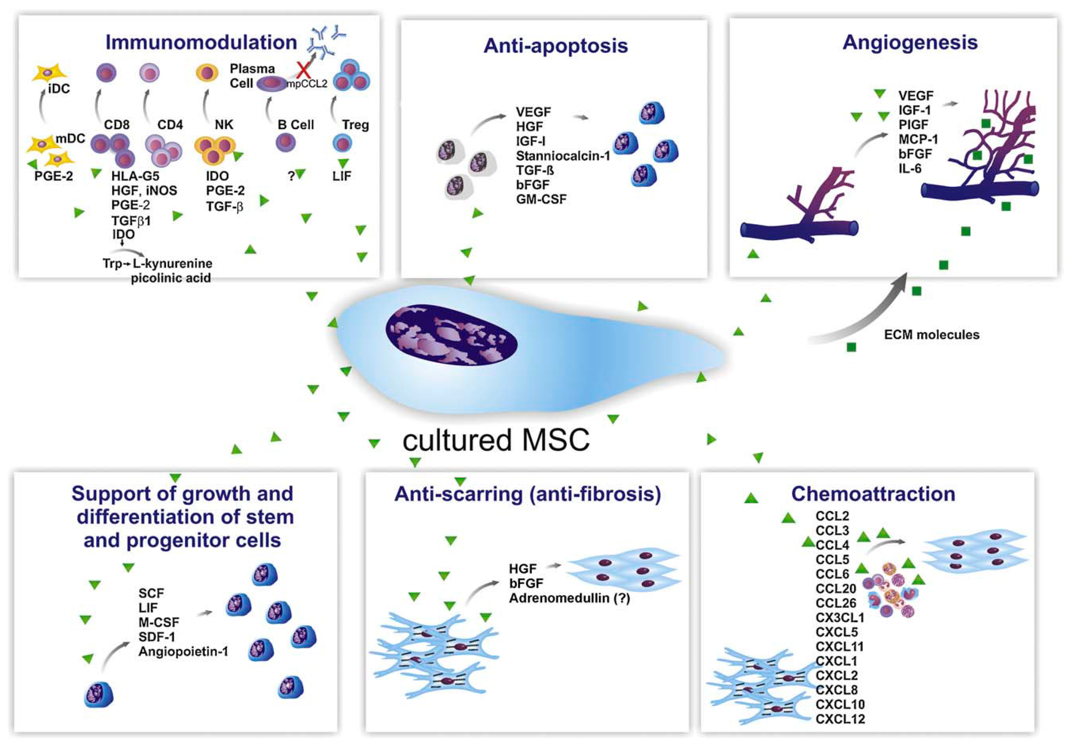 Applsci 09 00174 g011