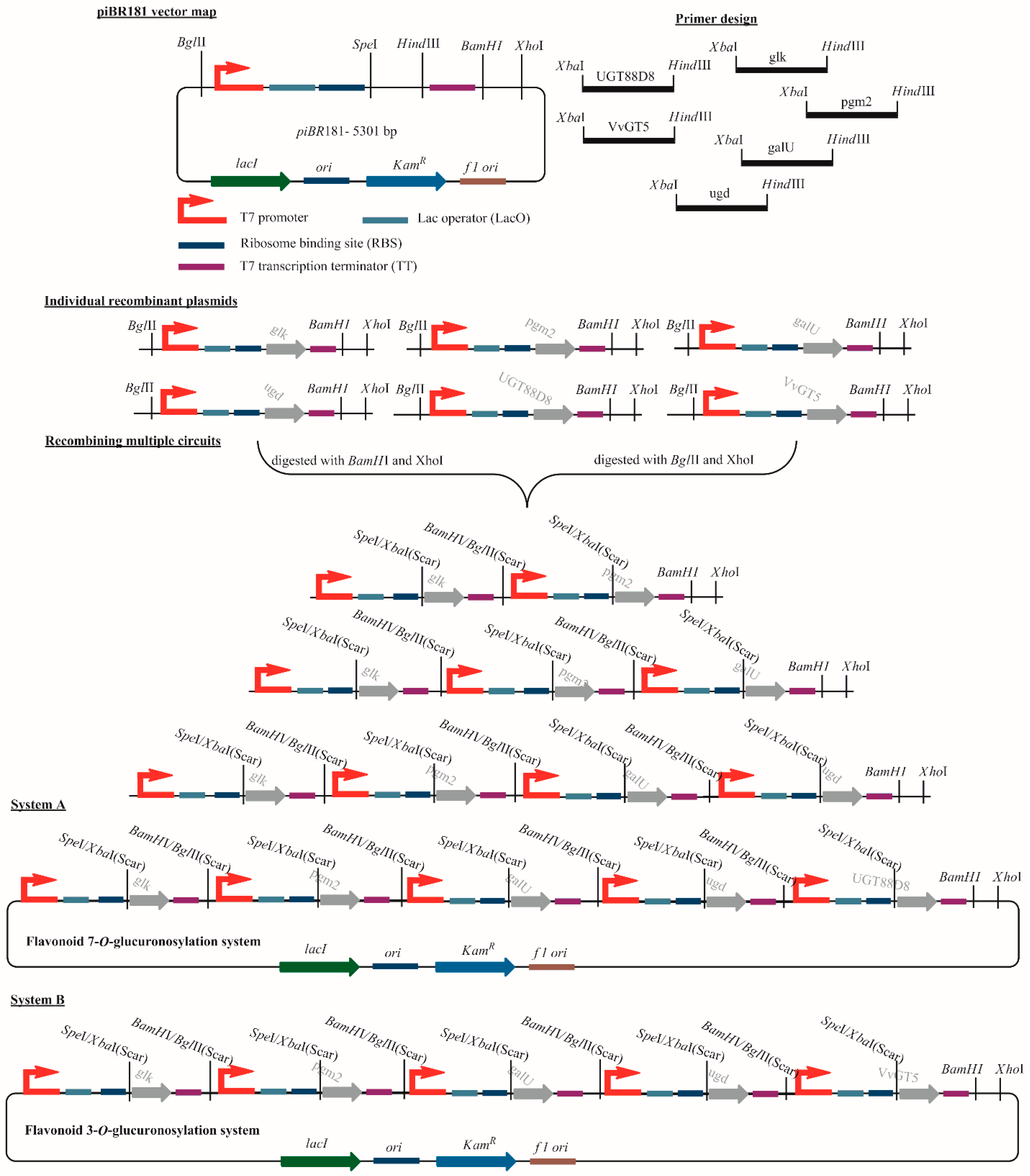 Applsci 09 00215 g002