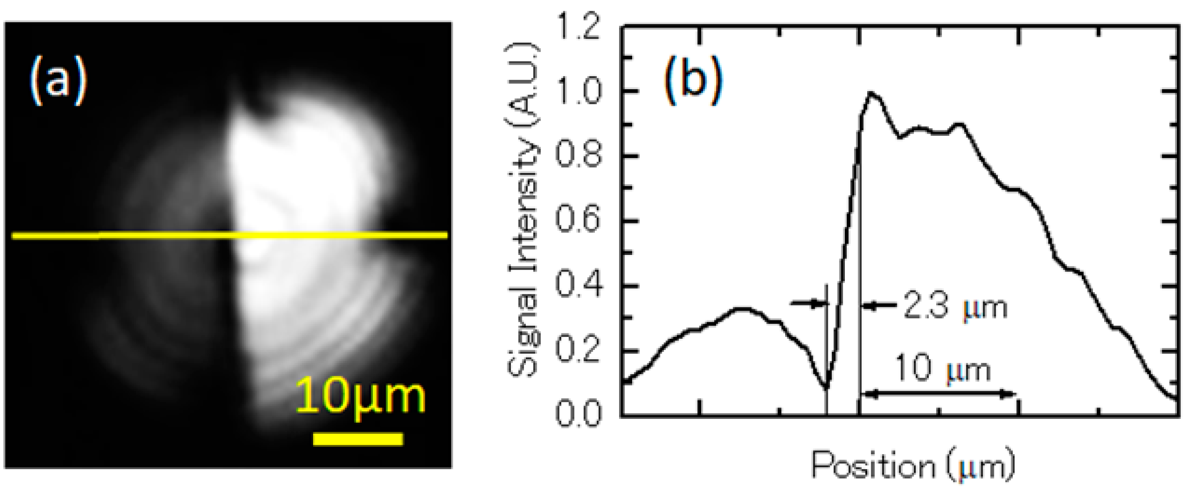 Applsci 09 00216 g002