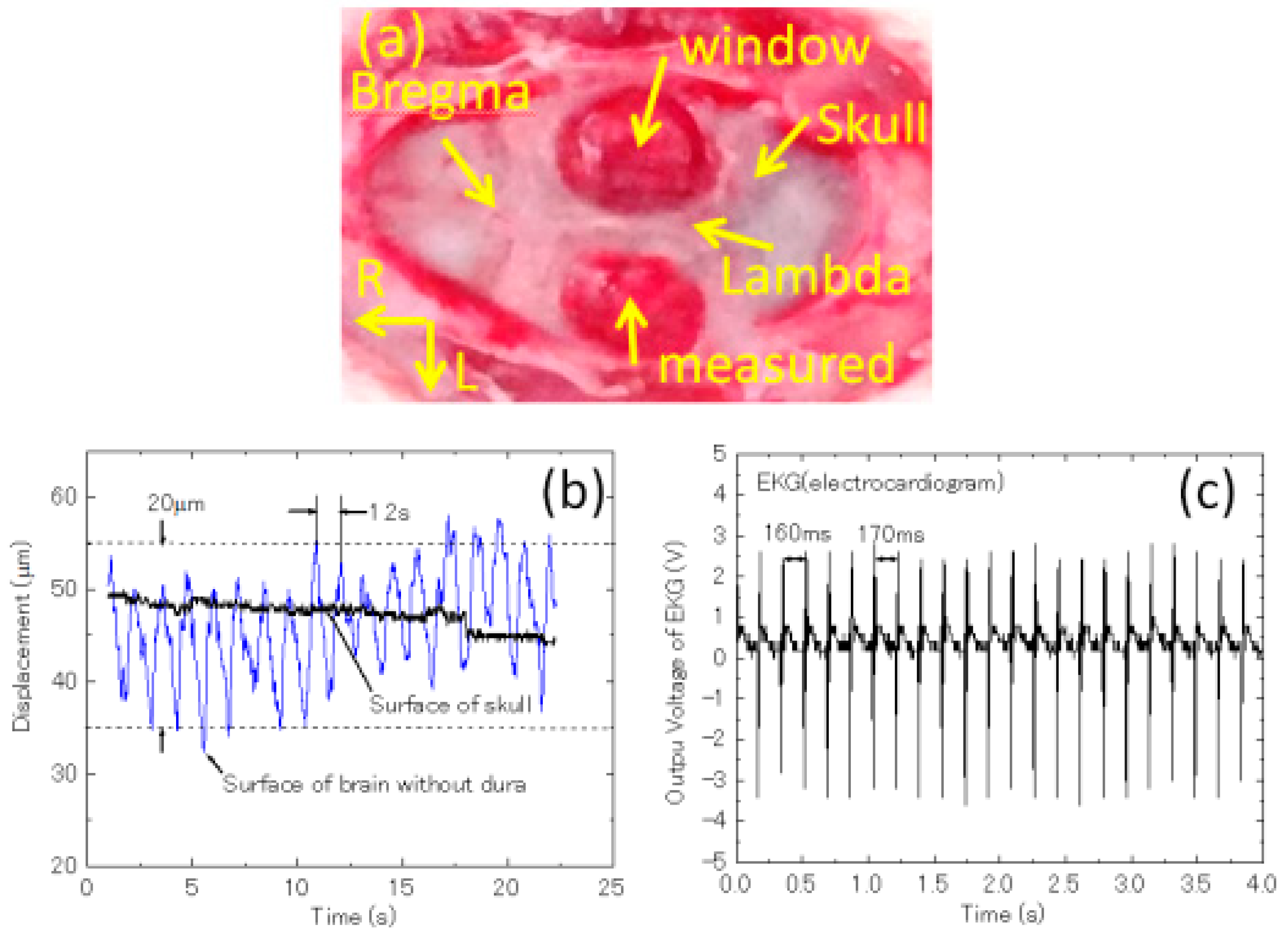 Applsci 09 00216 g005