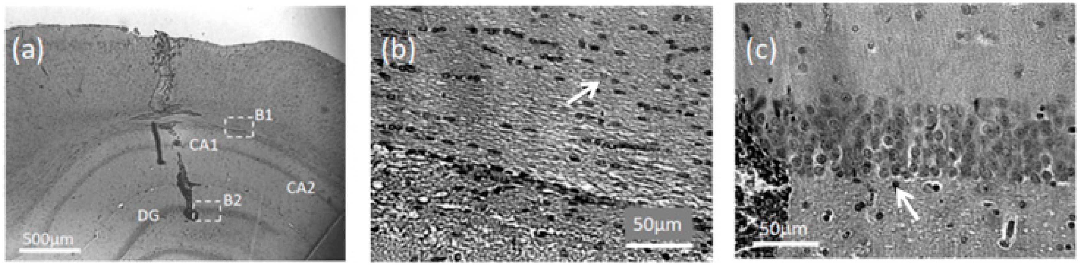 Applsci 09 00216 g007