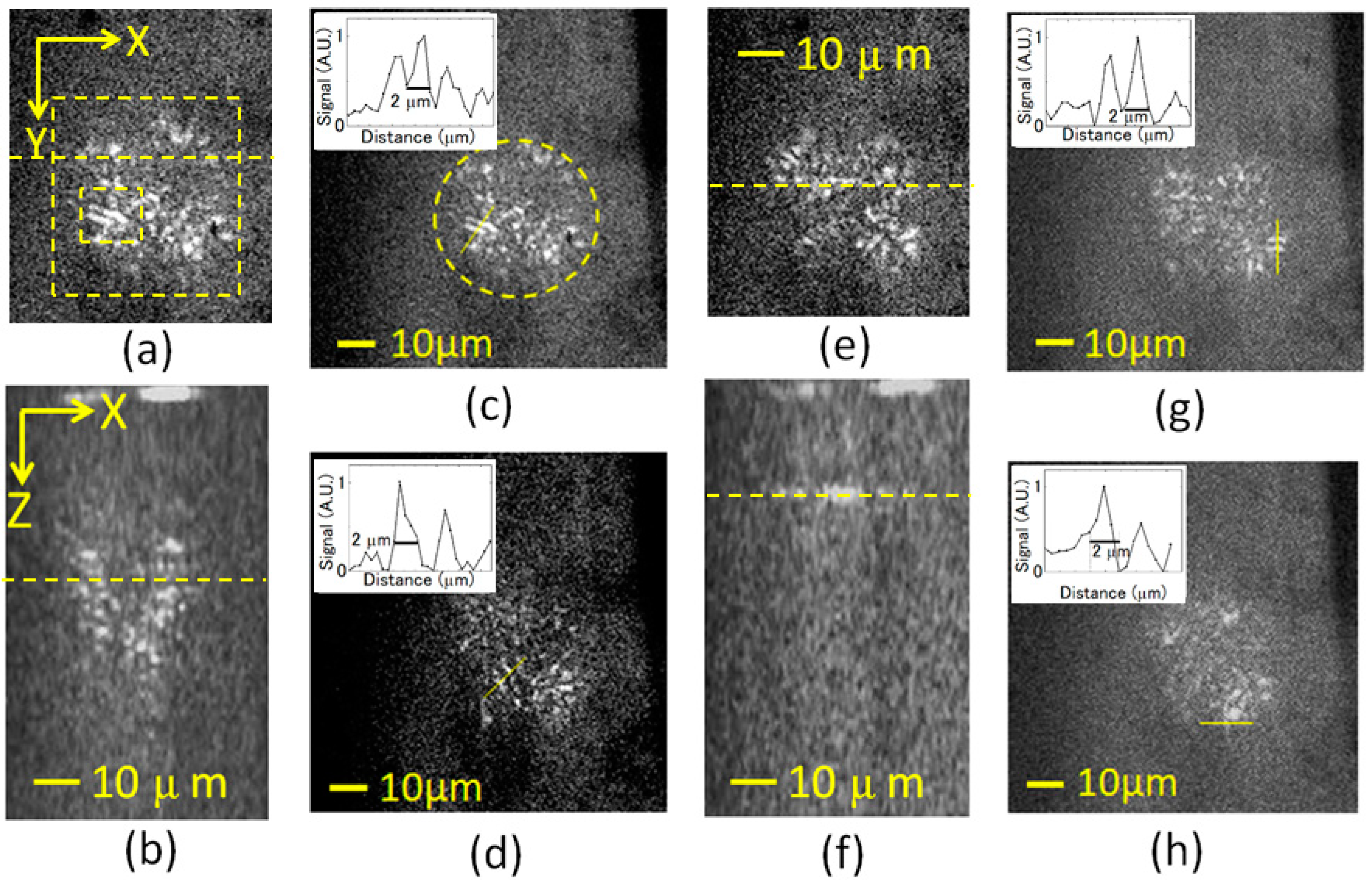 Applsci 09 00216 g008