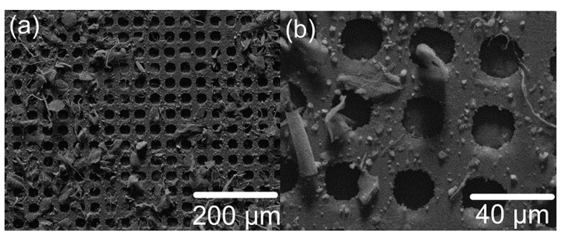 Applsci 09 00235 g002a