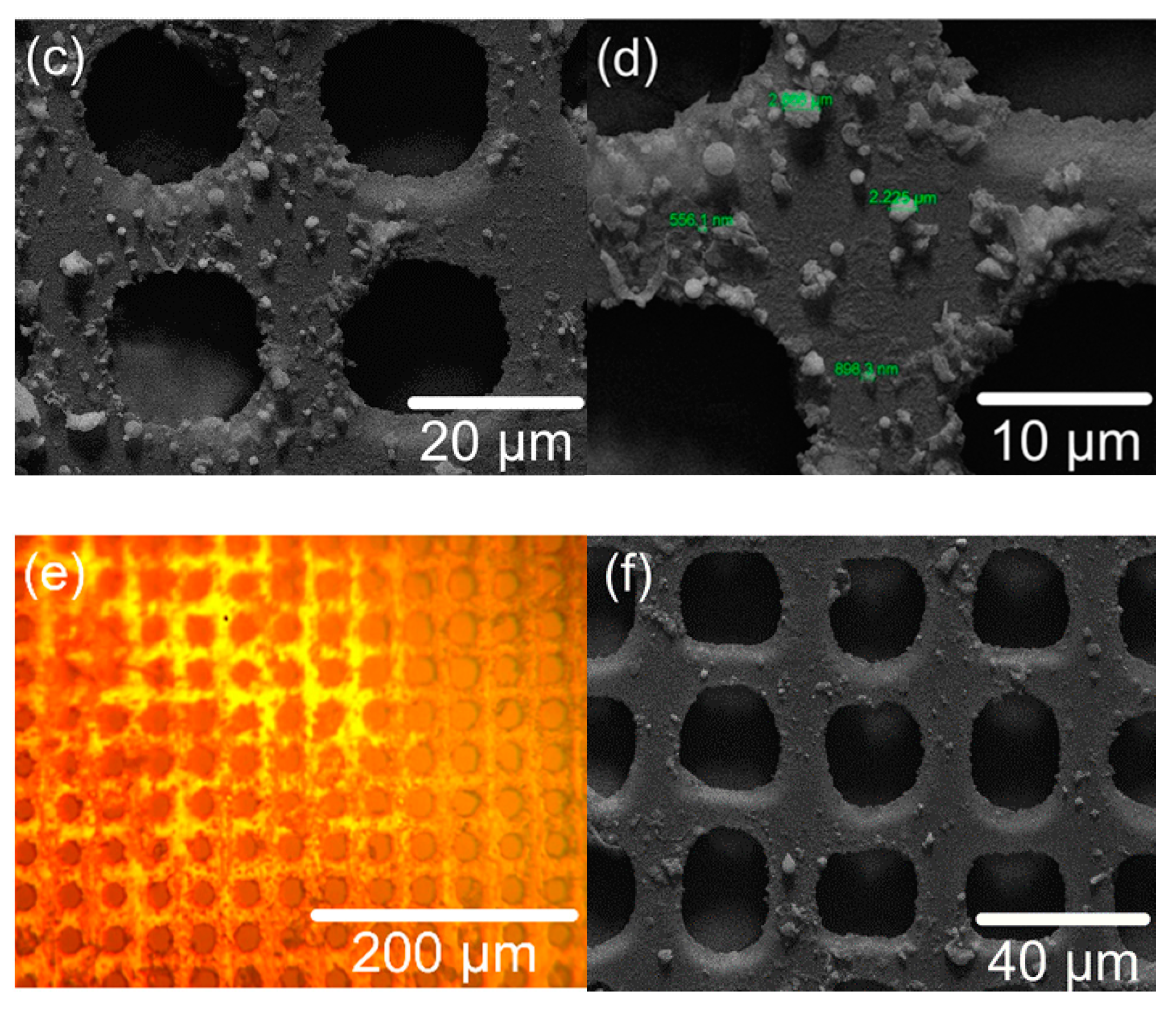 Applsci 09 00235 g002b