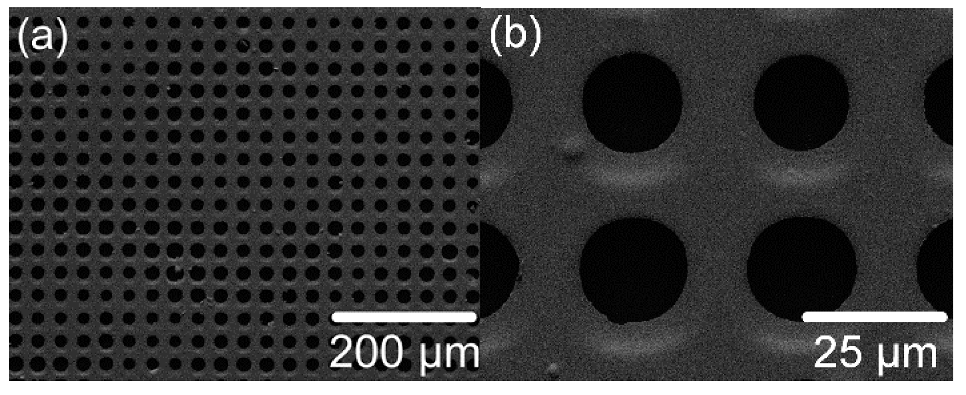 Applsci 09 00235 g004