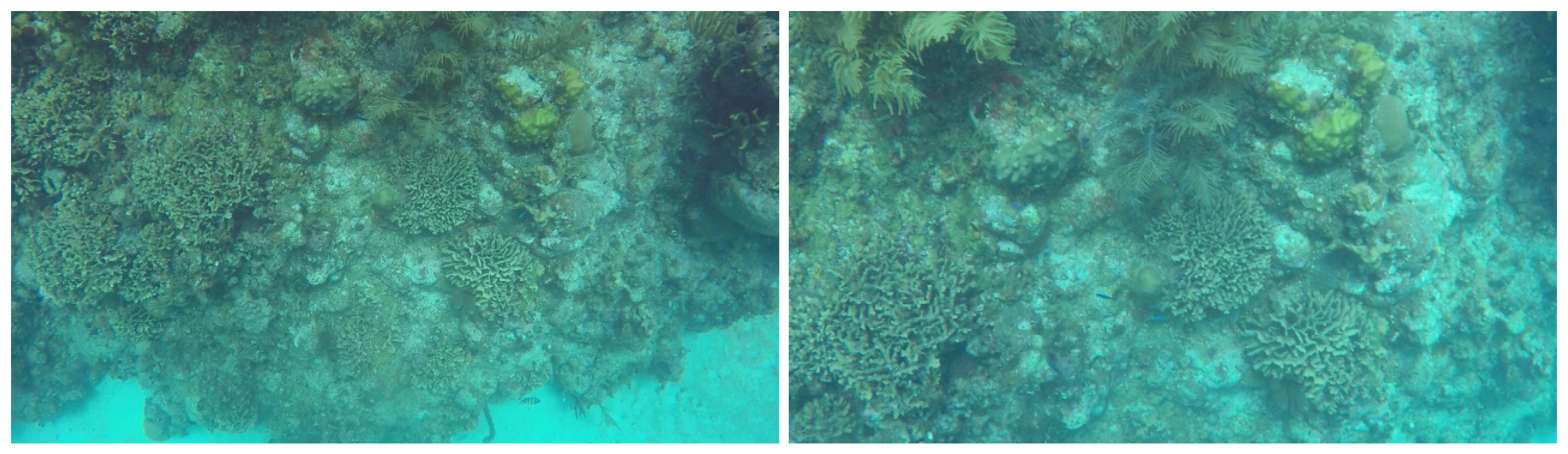 Applsci 09 00261 g007