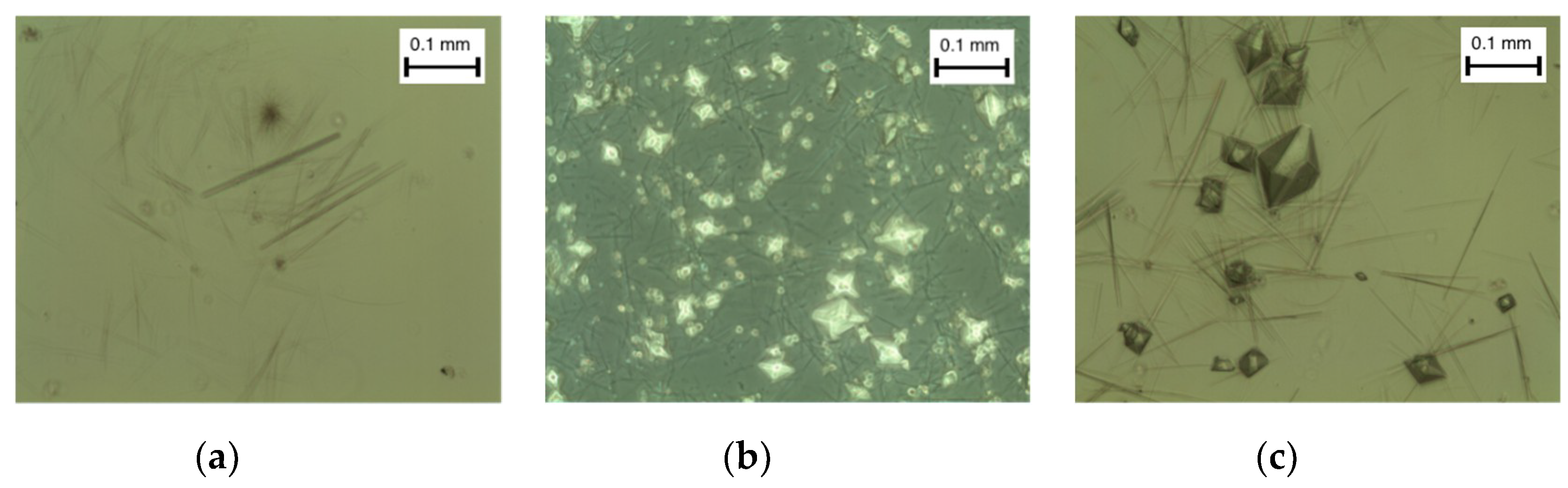 Applsci 09 00287 g007