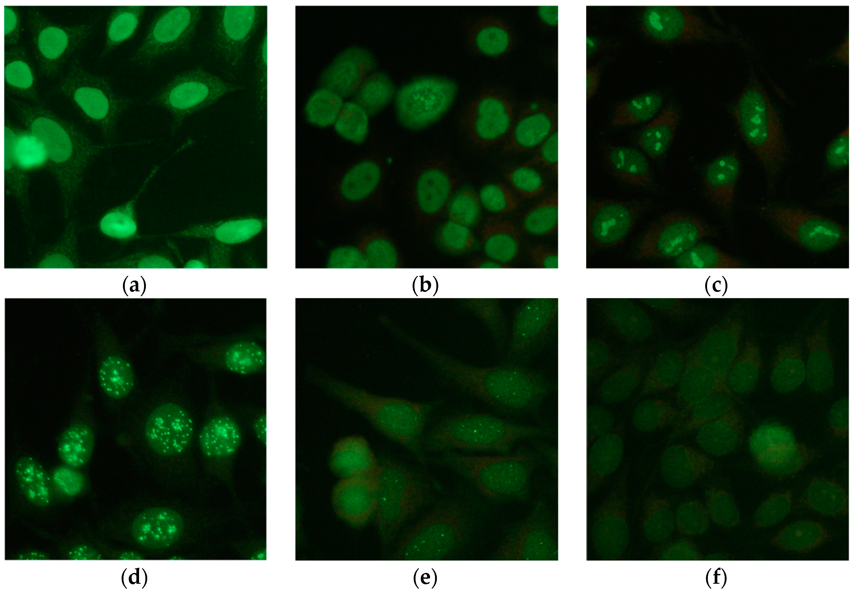 Applsci 09 00307 g001