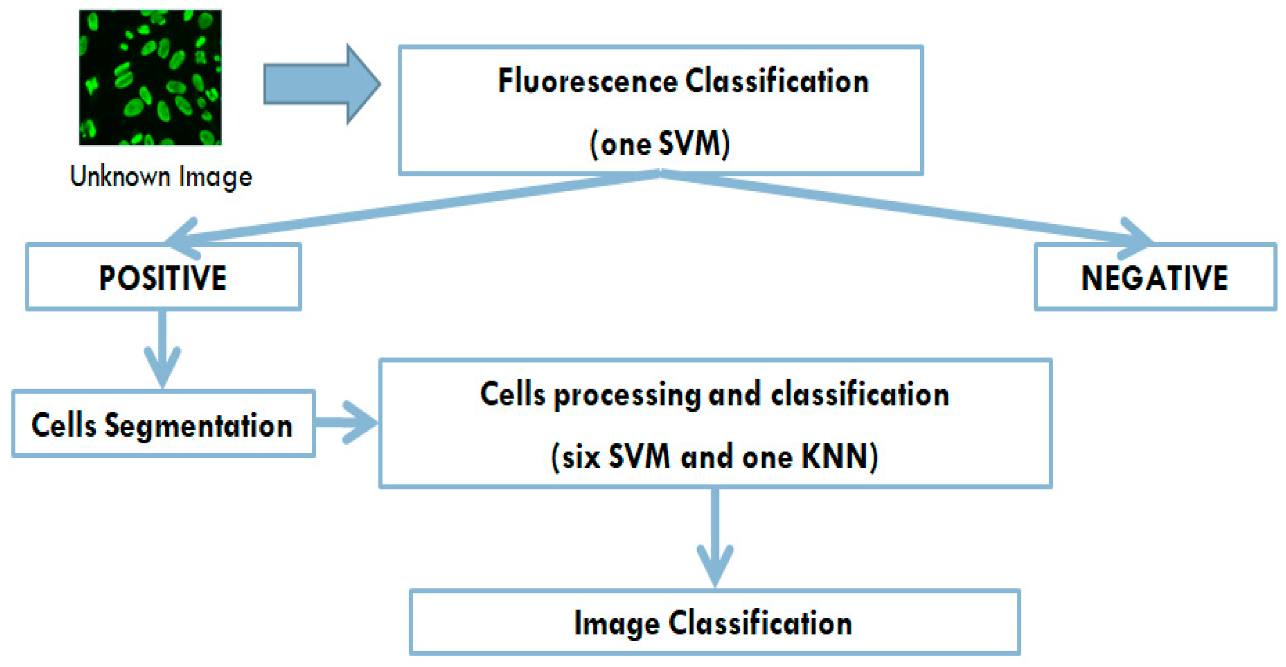 Applsci 09 00307 g003