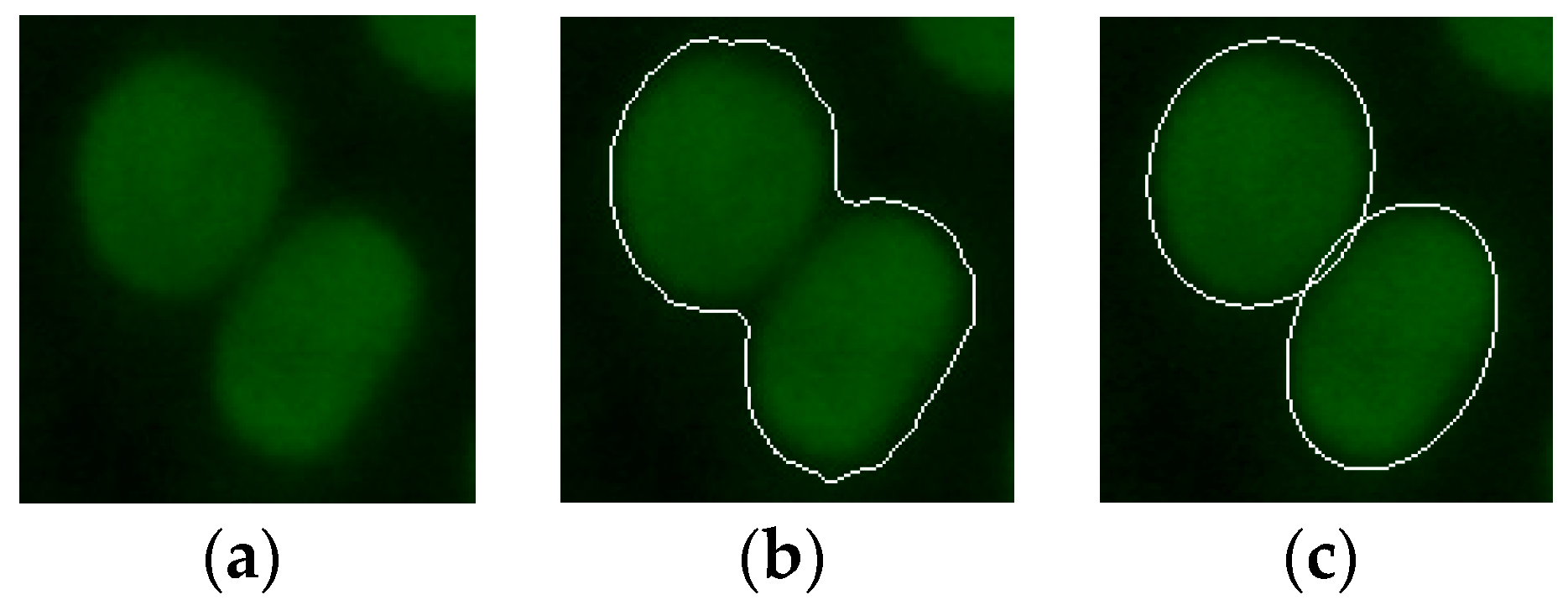 Applsci 09 00307 g004