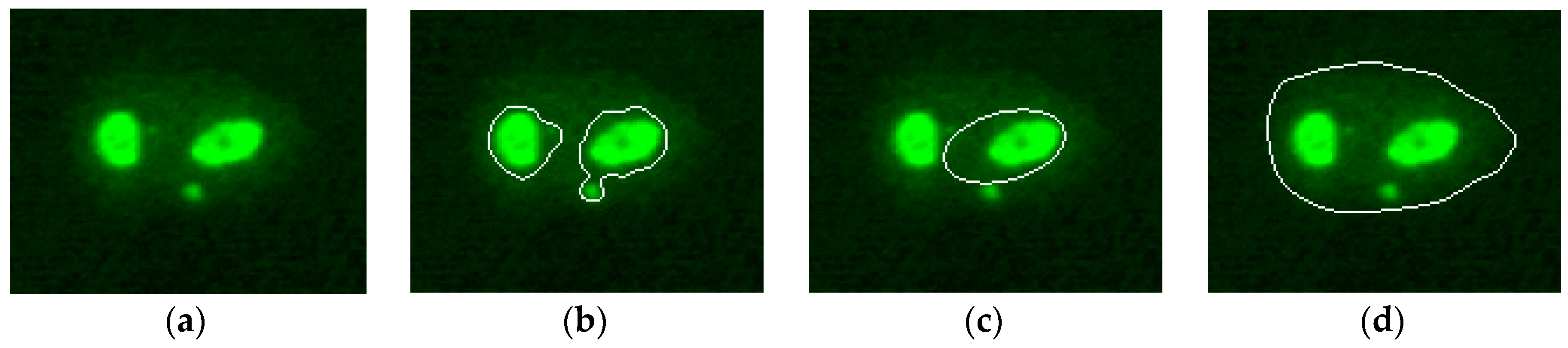 Applsci 09 00307 g006