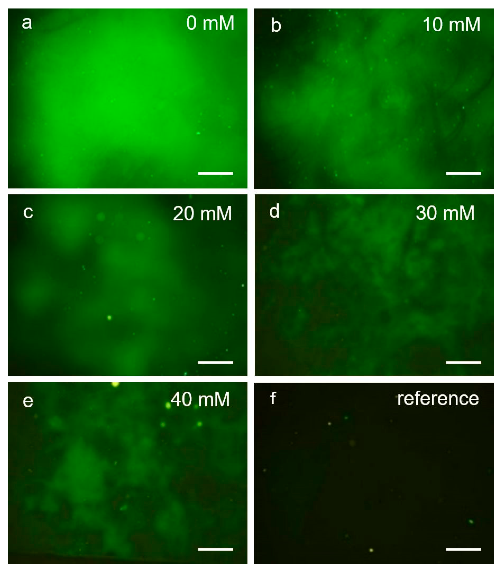 Applsci 09 00318 g006