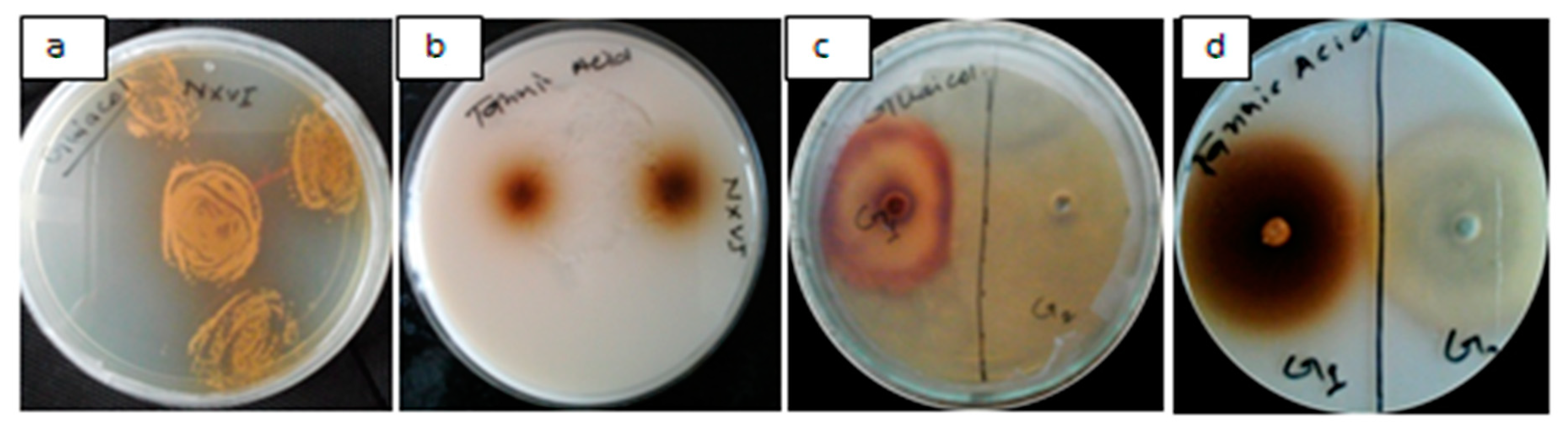 Applsci 09 00340 g001
