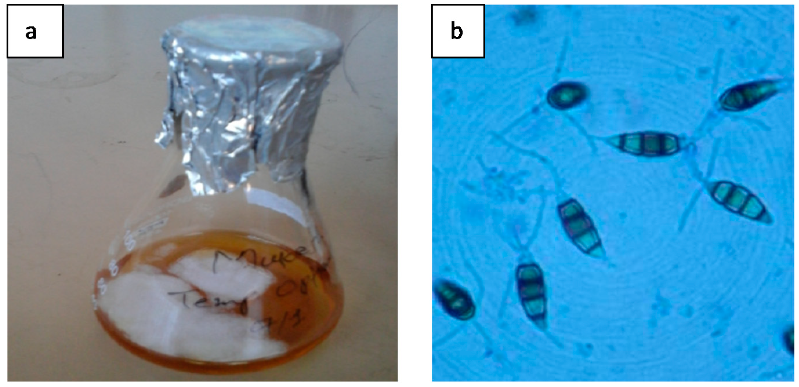 Applsci 09 00340 g002
