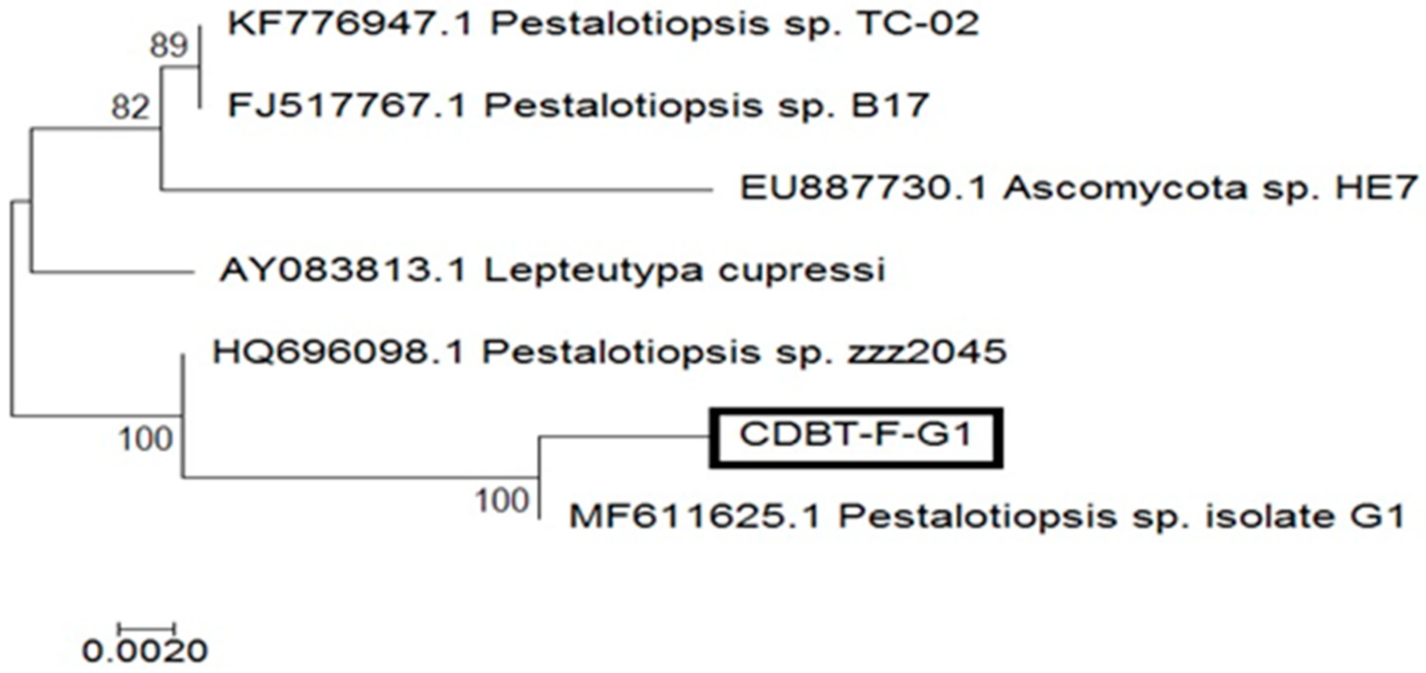 Applsci 09 00340 g004