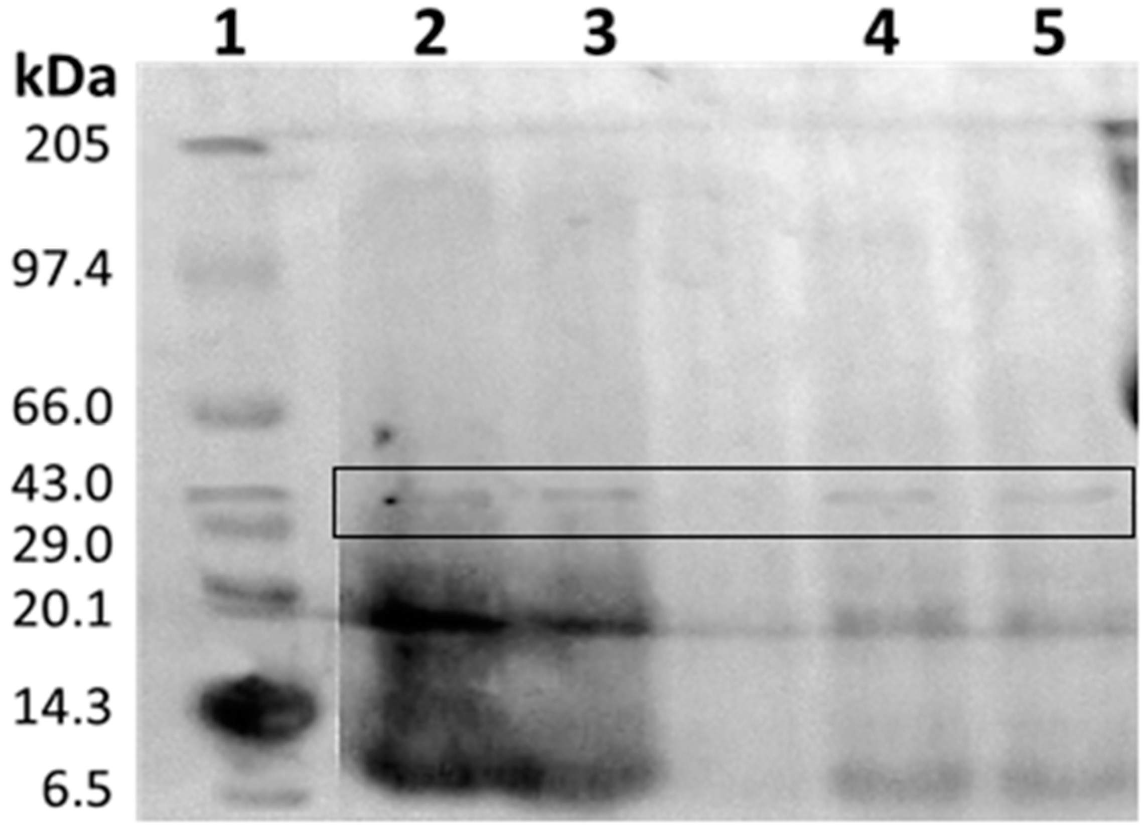 Applsci 09 00340 g007