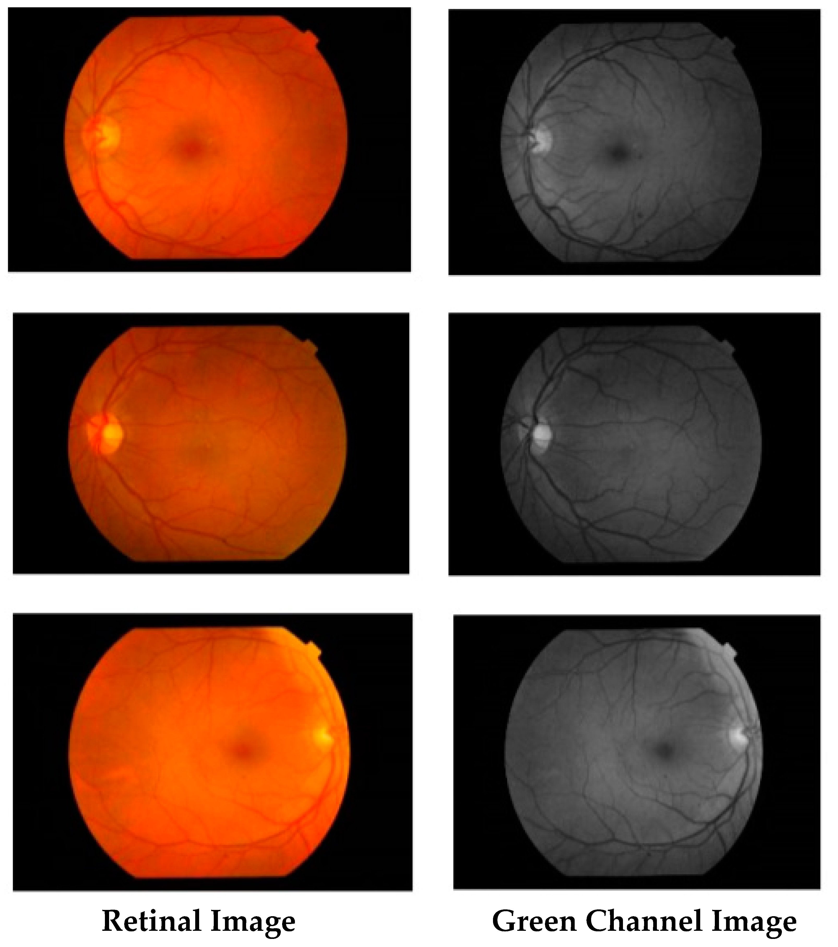 Applsci 09 00350 g003 Applsci 09 00350 g003