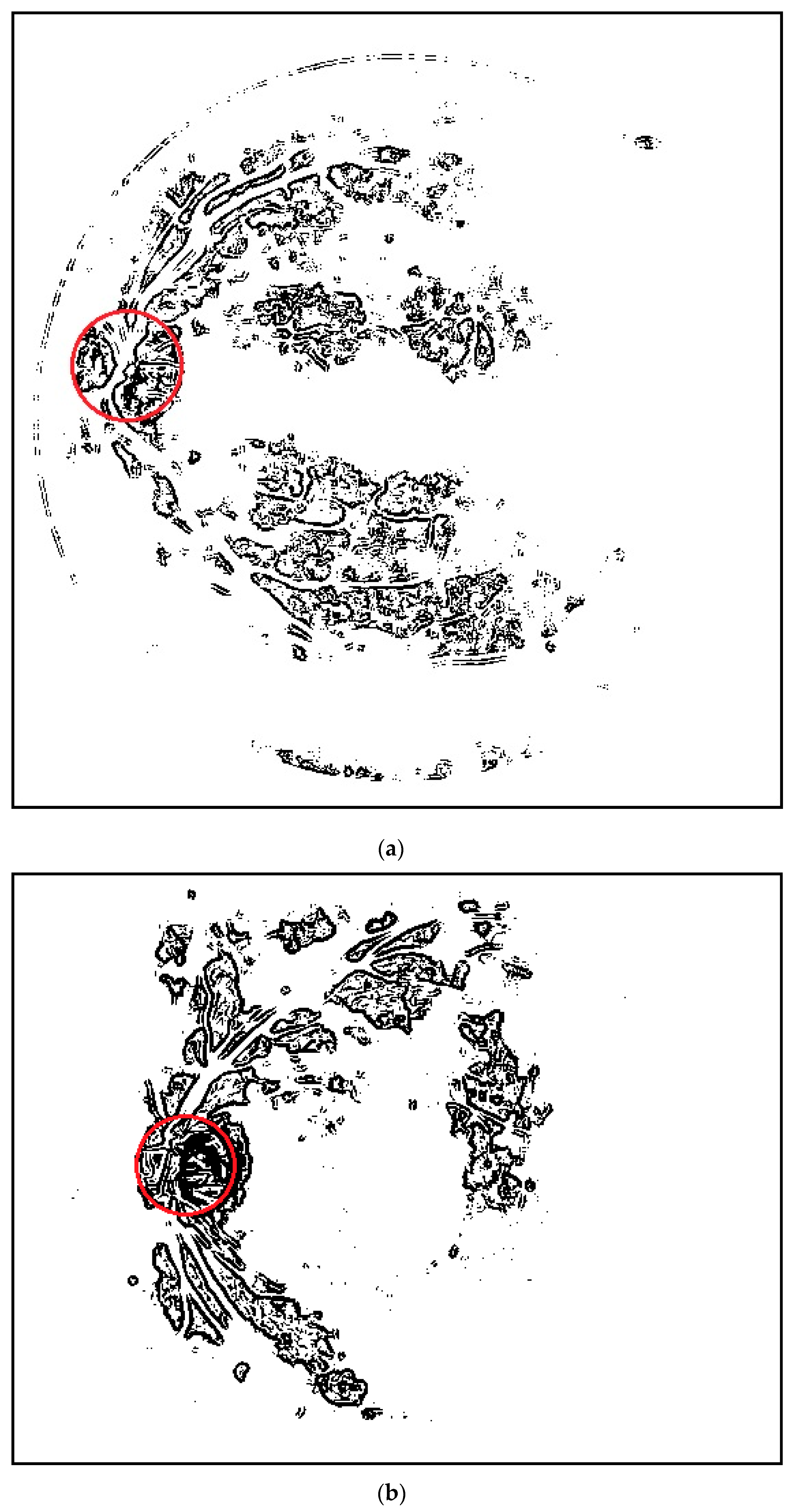 Applsci 09 00350 g009 Applsci 09 00350 g009