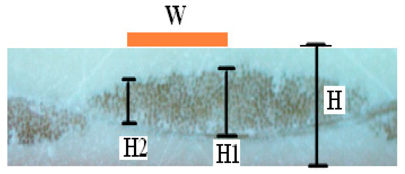 Applsci 09 00353 g008