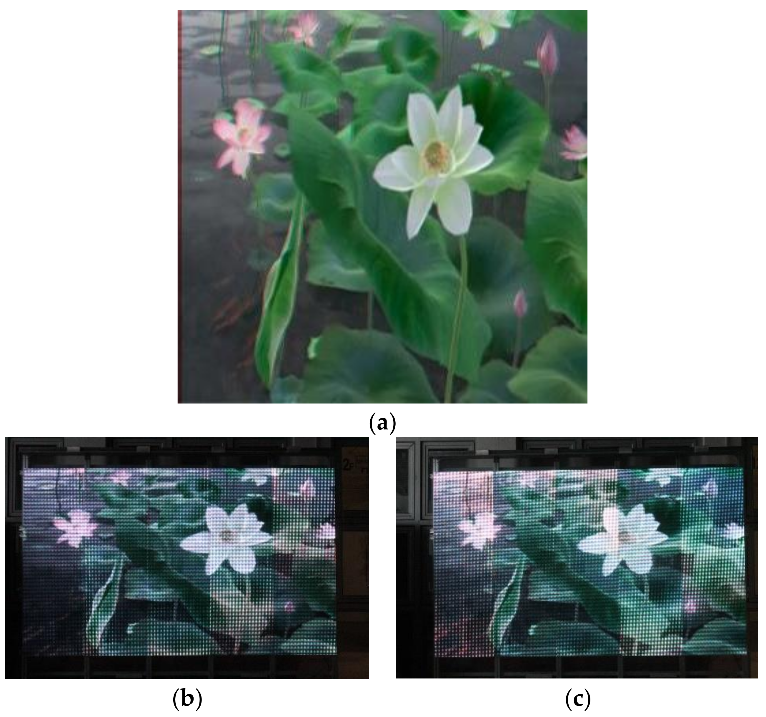 Applsci 09 00380 g009 Applsci 09 00380 g009