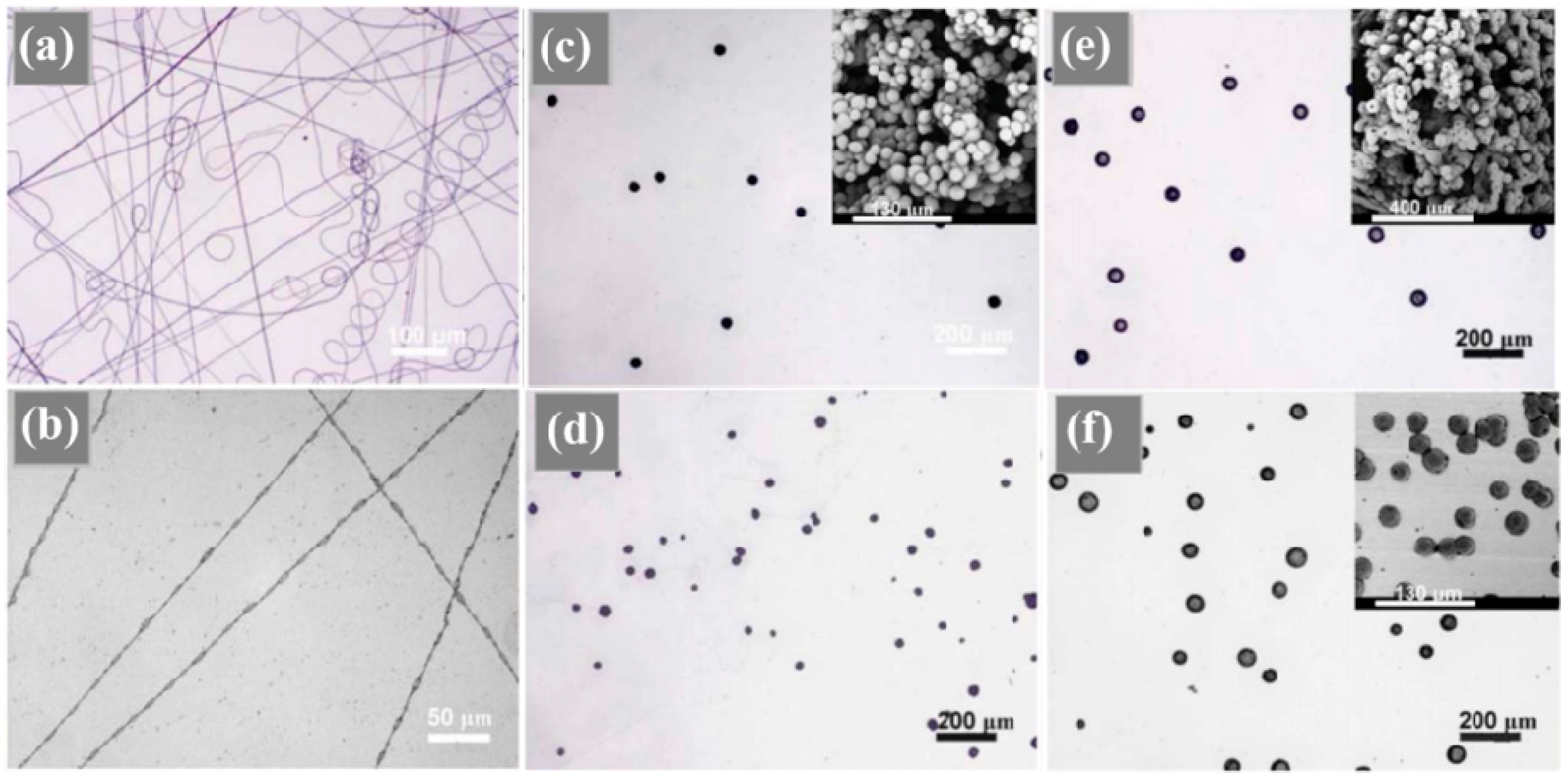 Applsci 09 00402 g005