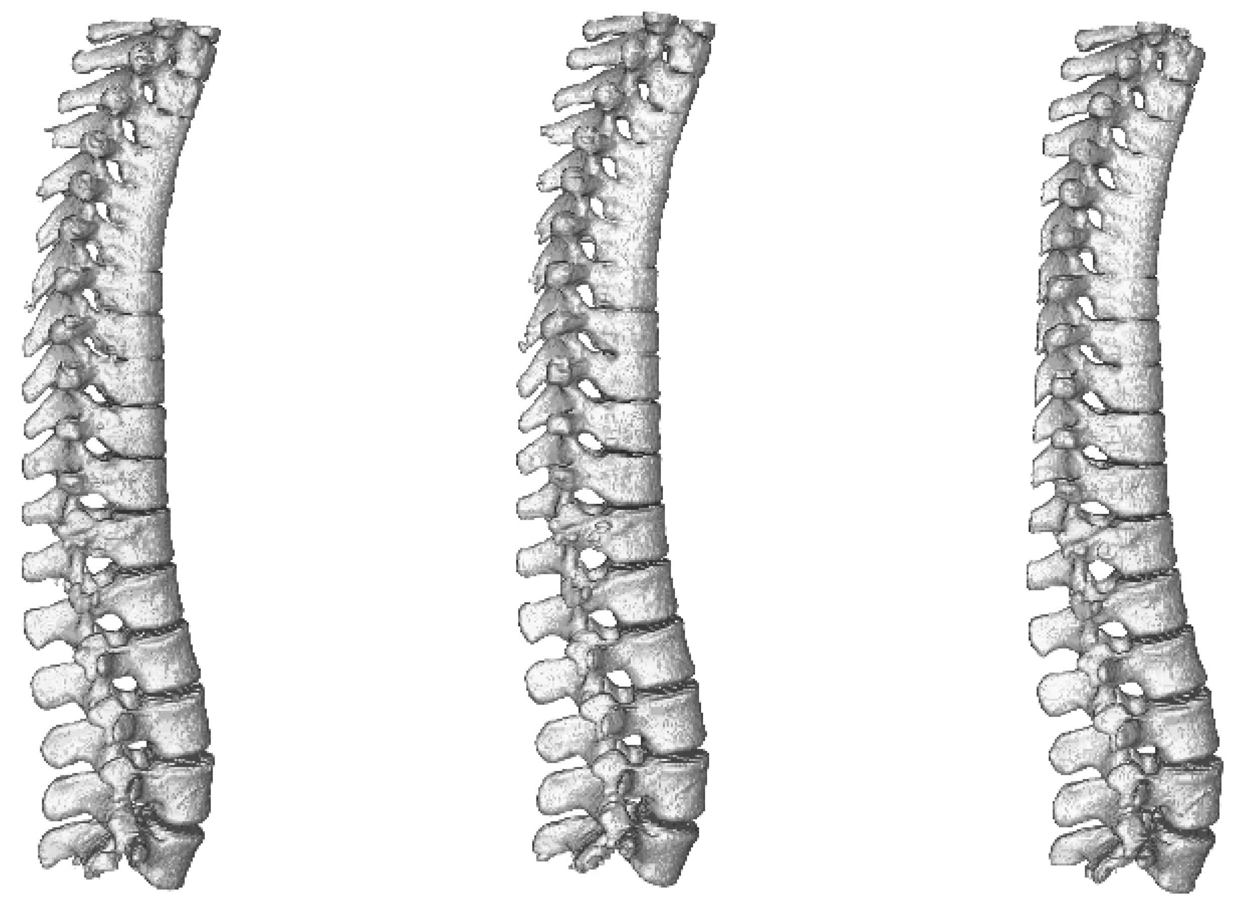 Applsci 09 00404 g009