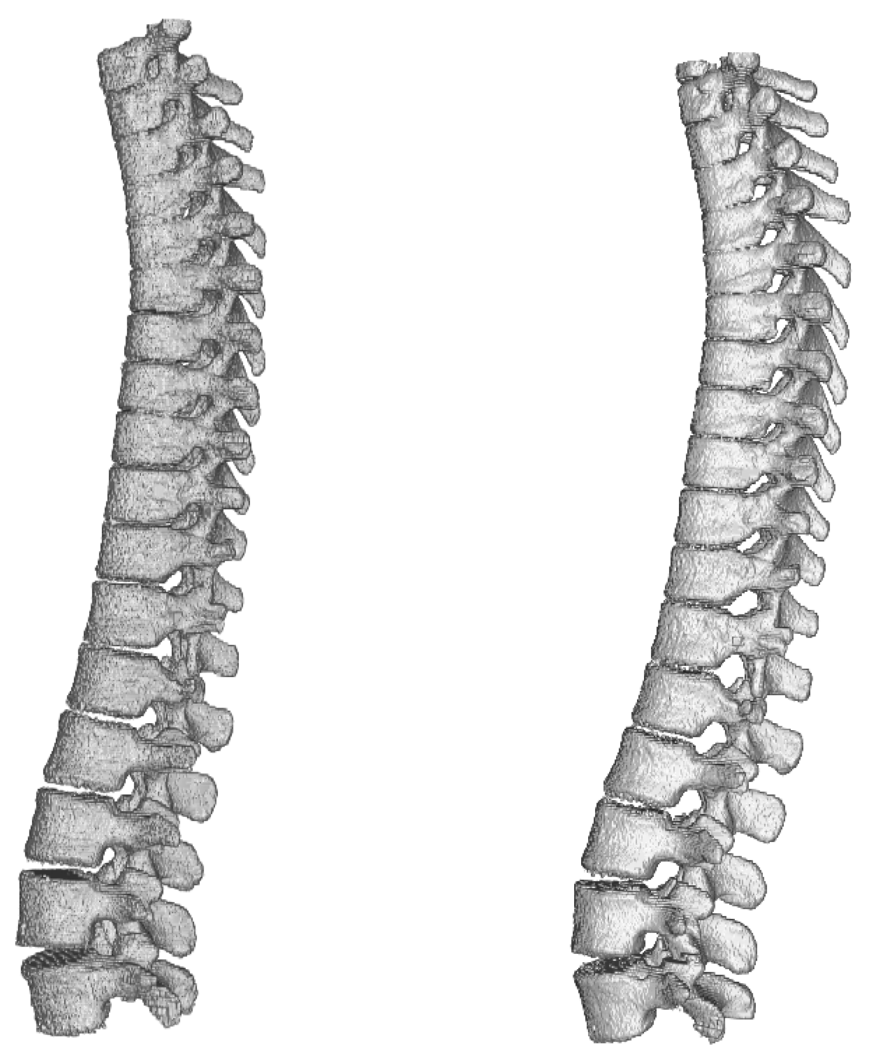 Applsci 09 00404 g010