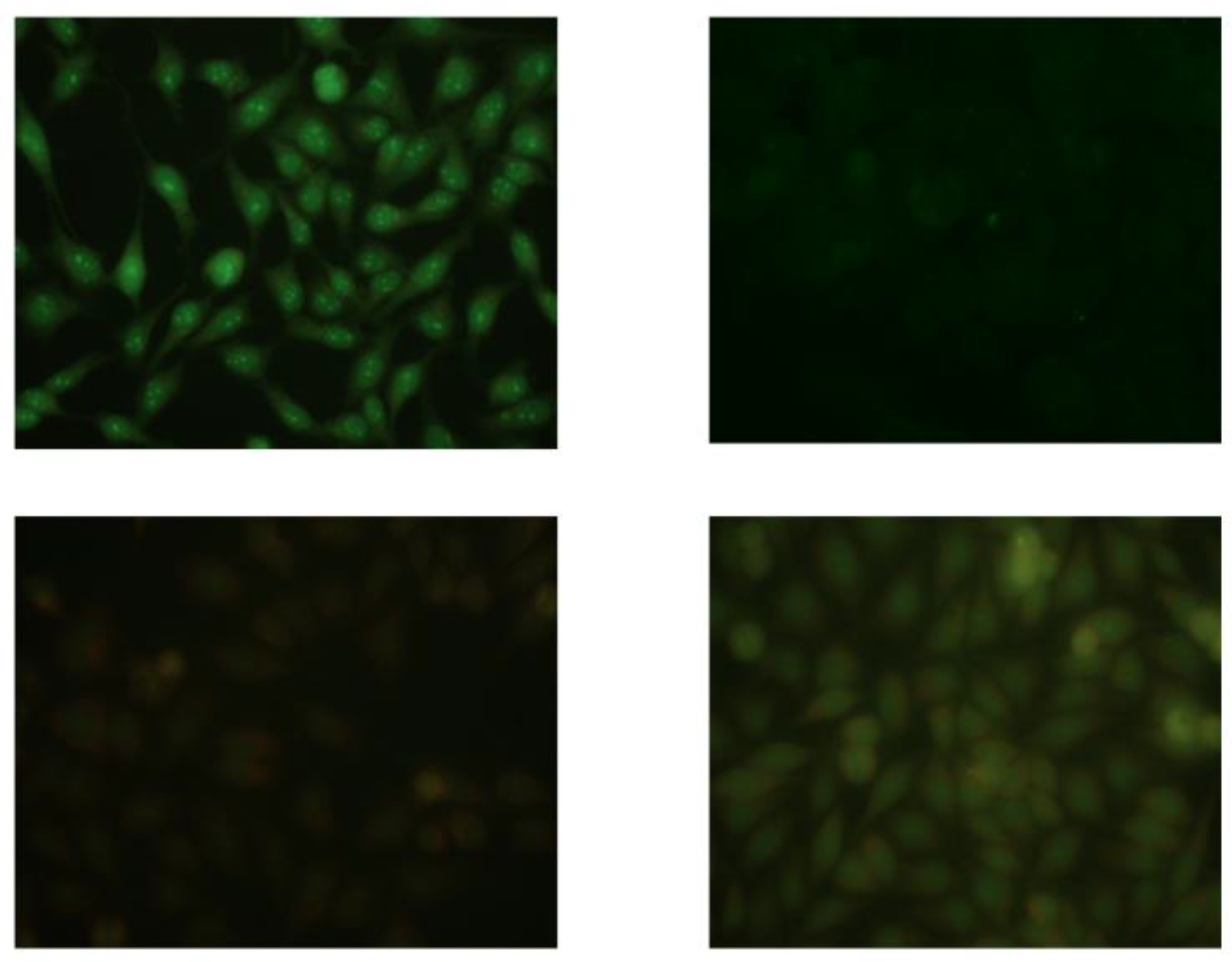 Applsci 09 00408 g001 Applsci 09 00408 g001