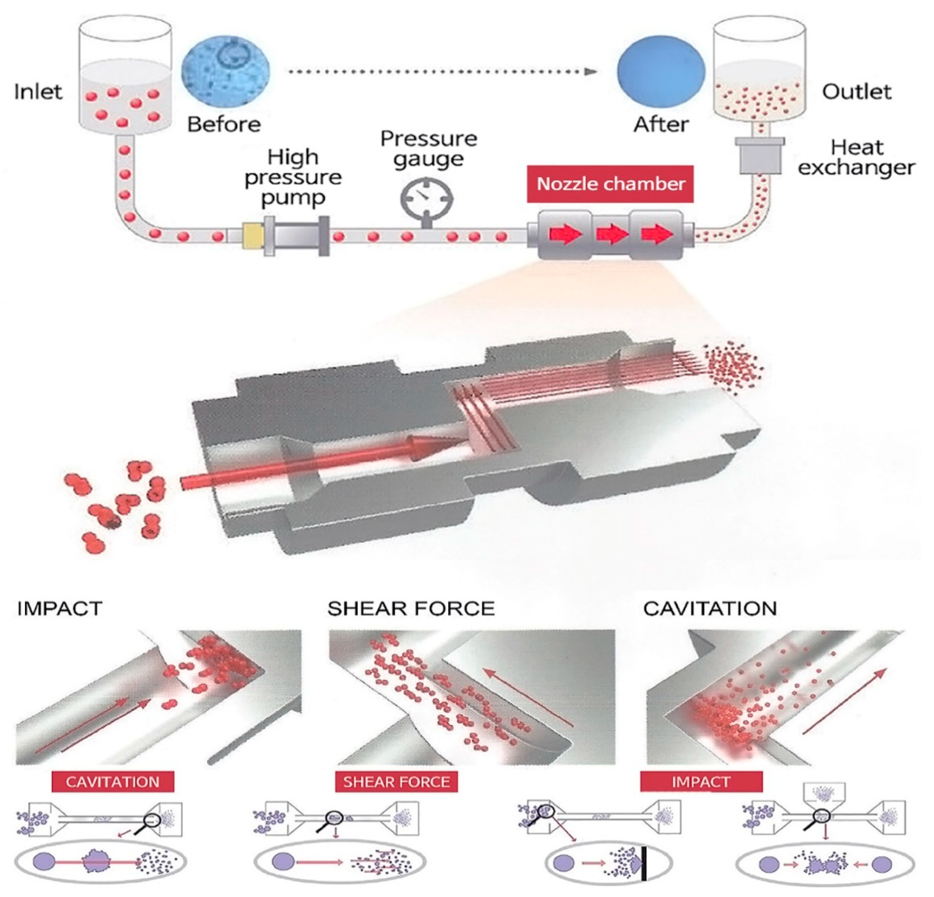 Applsci 09 00426 g002