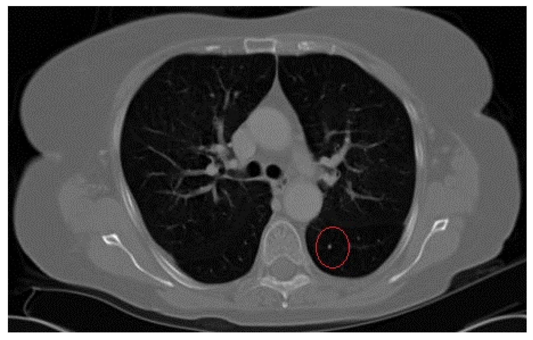 Applsci 09 00427 g001 Applsci 09 00427 g001