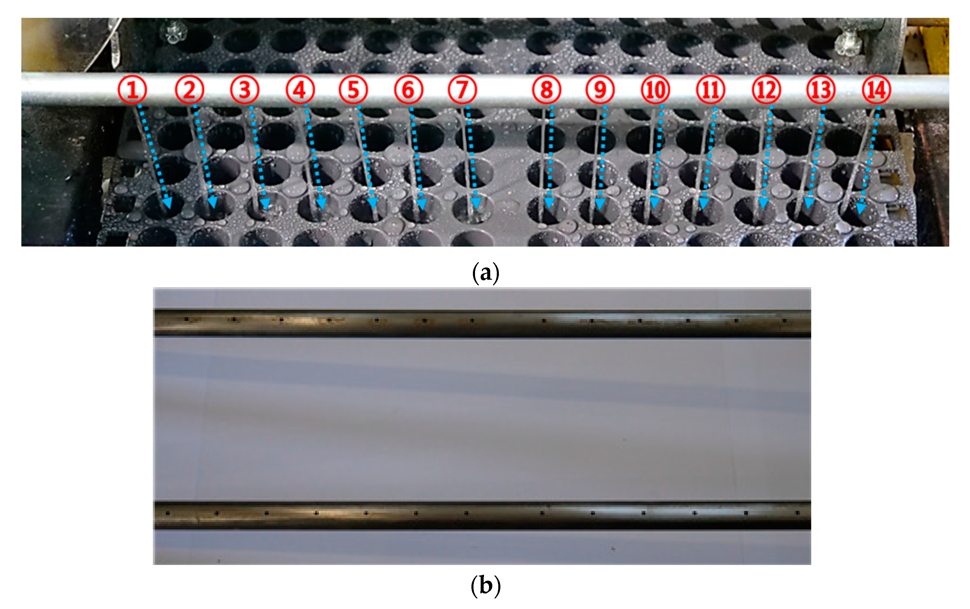 Applsci 09 00430 g004