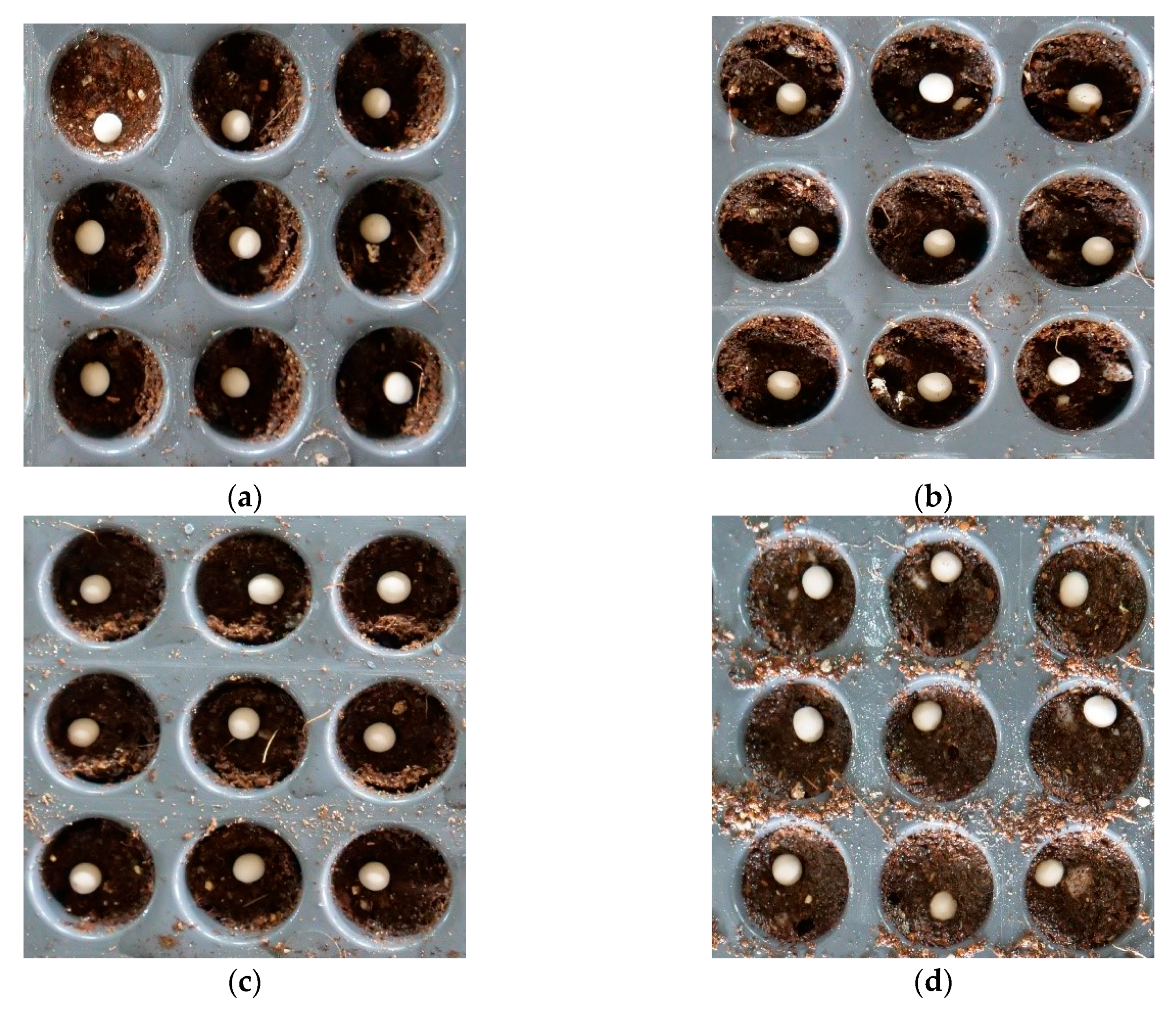 Applsci 09 00430 g012