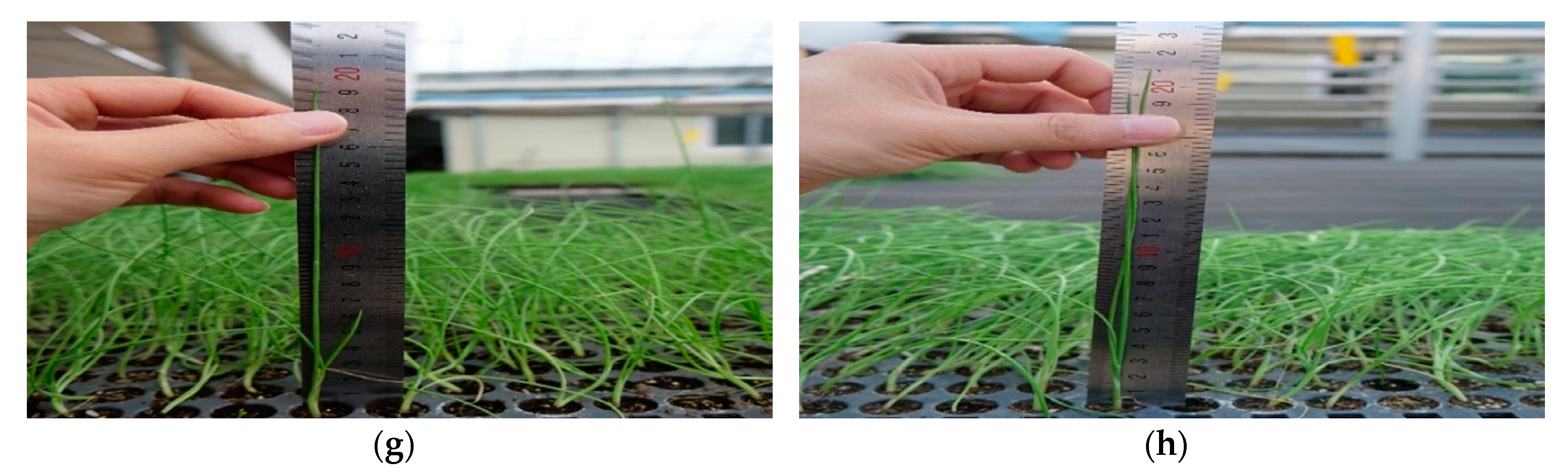 Applsci 09 00430 g013b