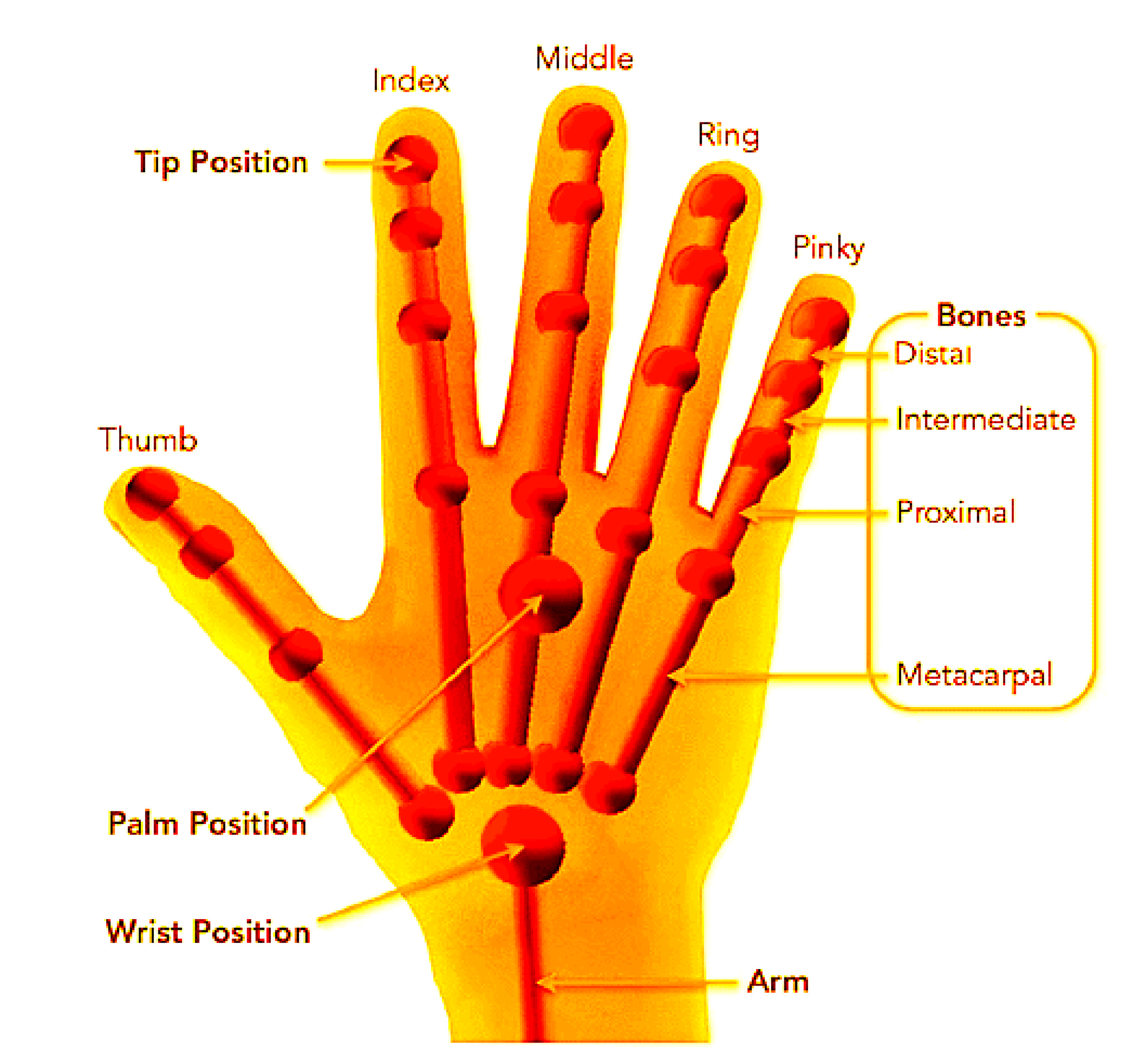 Applsci 09 00445 g003