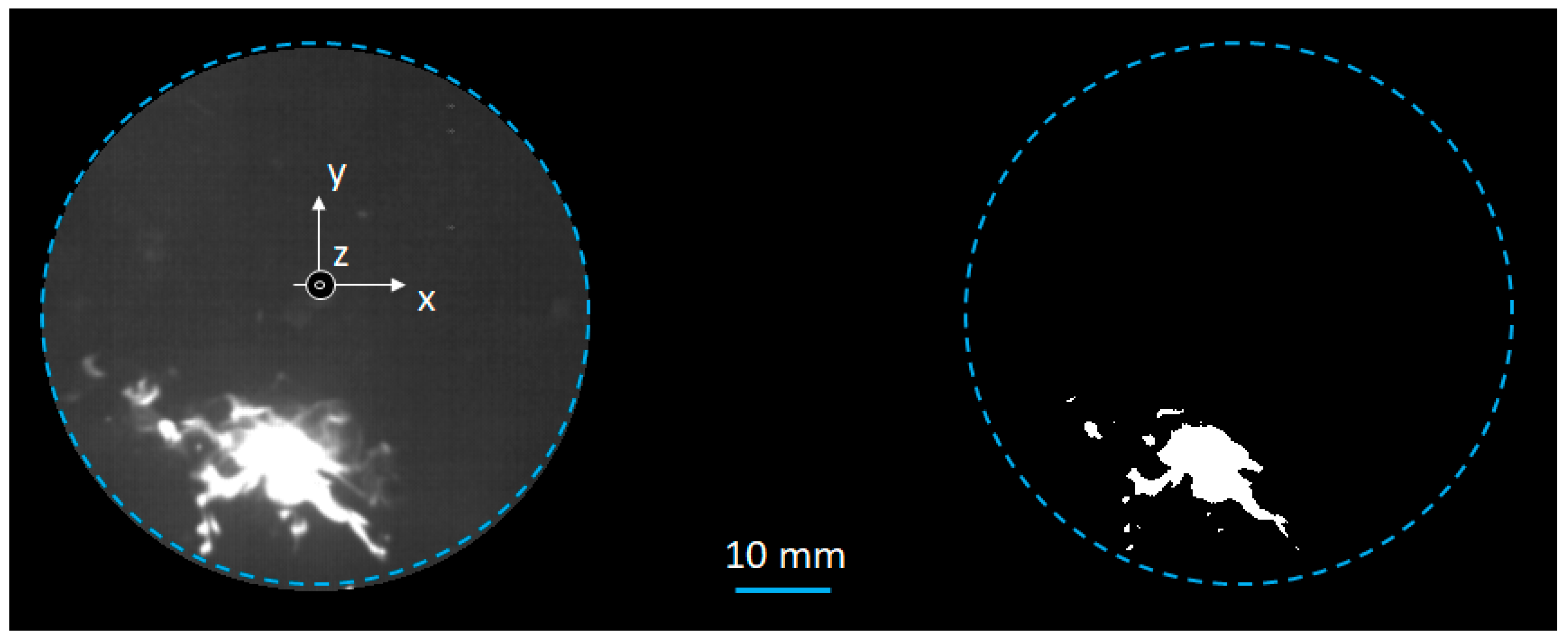 Applsci 09 00449 g004
