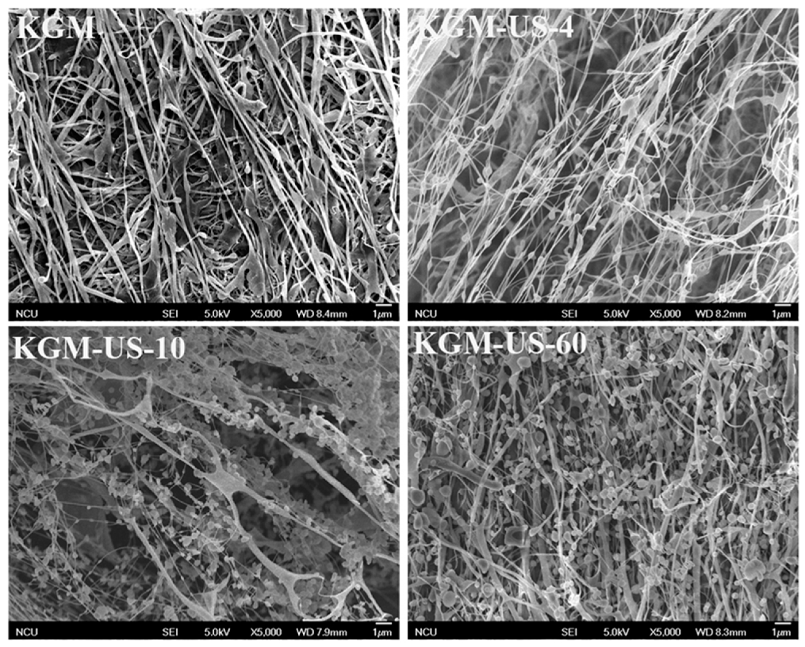 Applsci 09 00461 g005