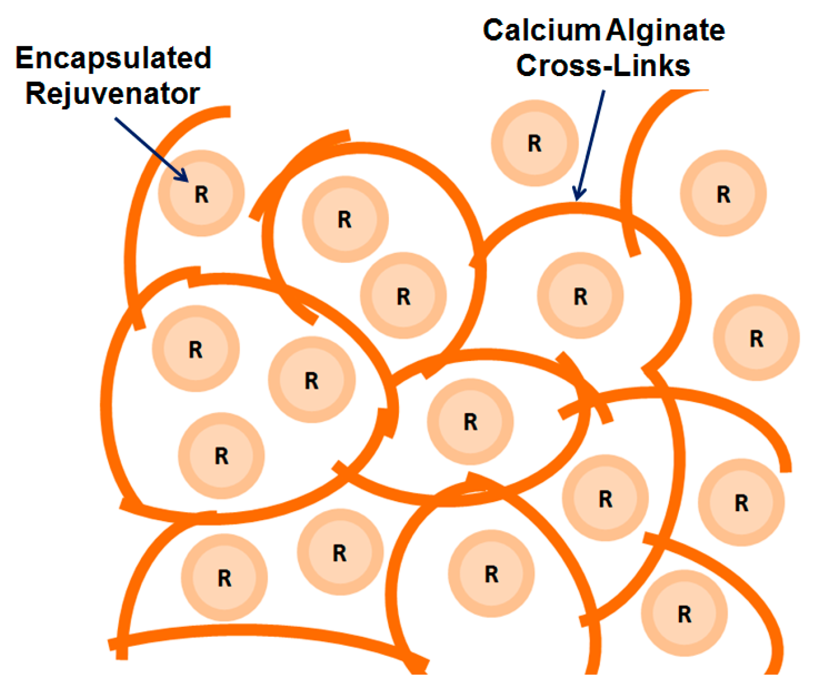Applsci 09 00468 g001
