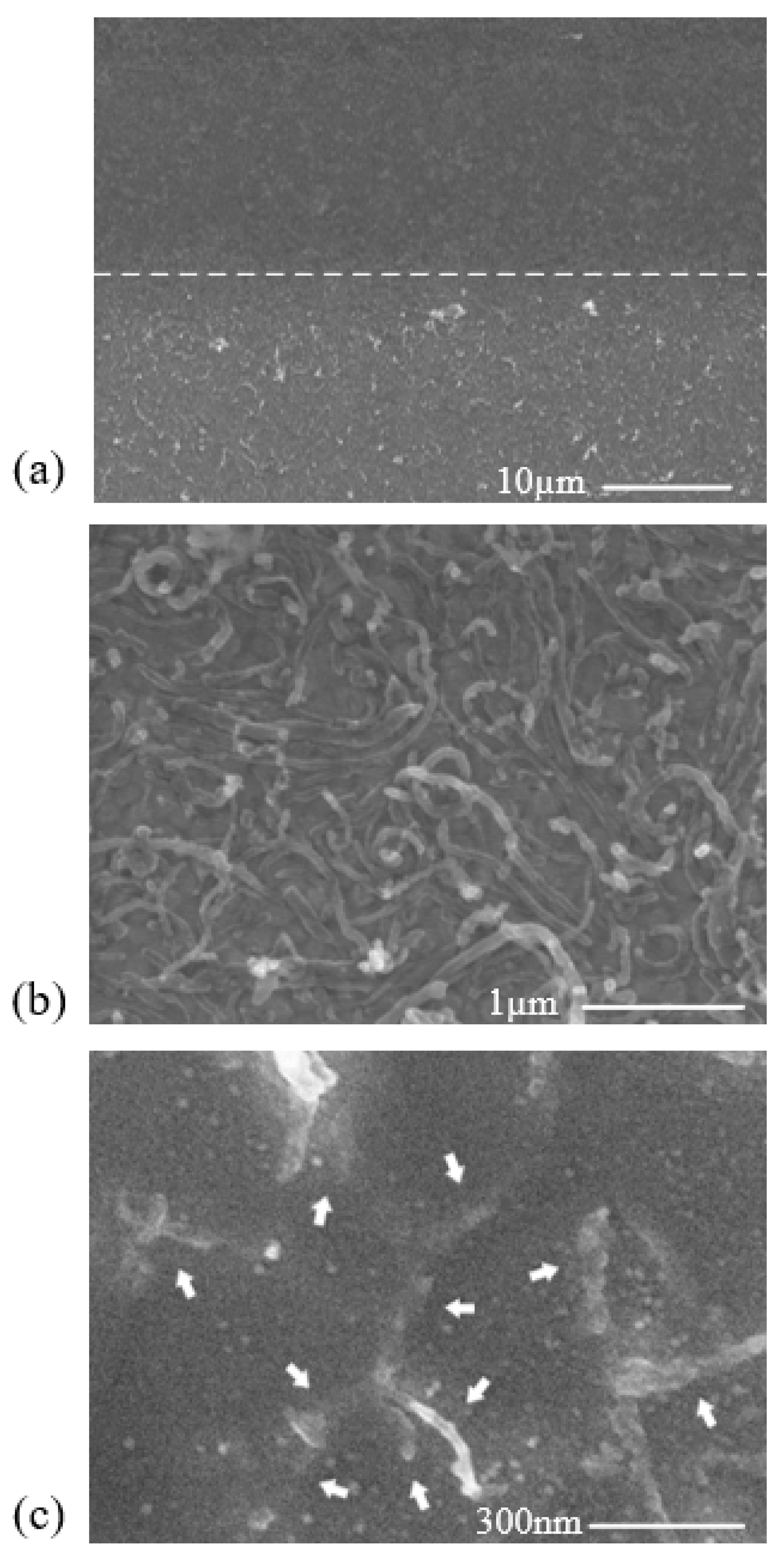 Applsci 09 00476 g002