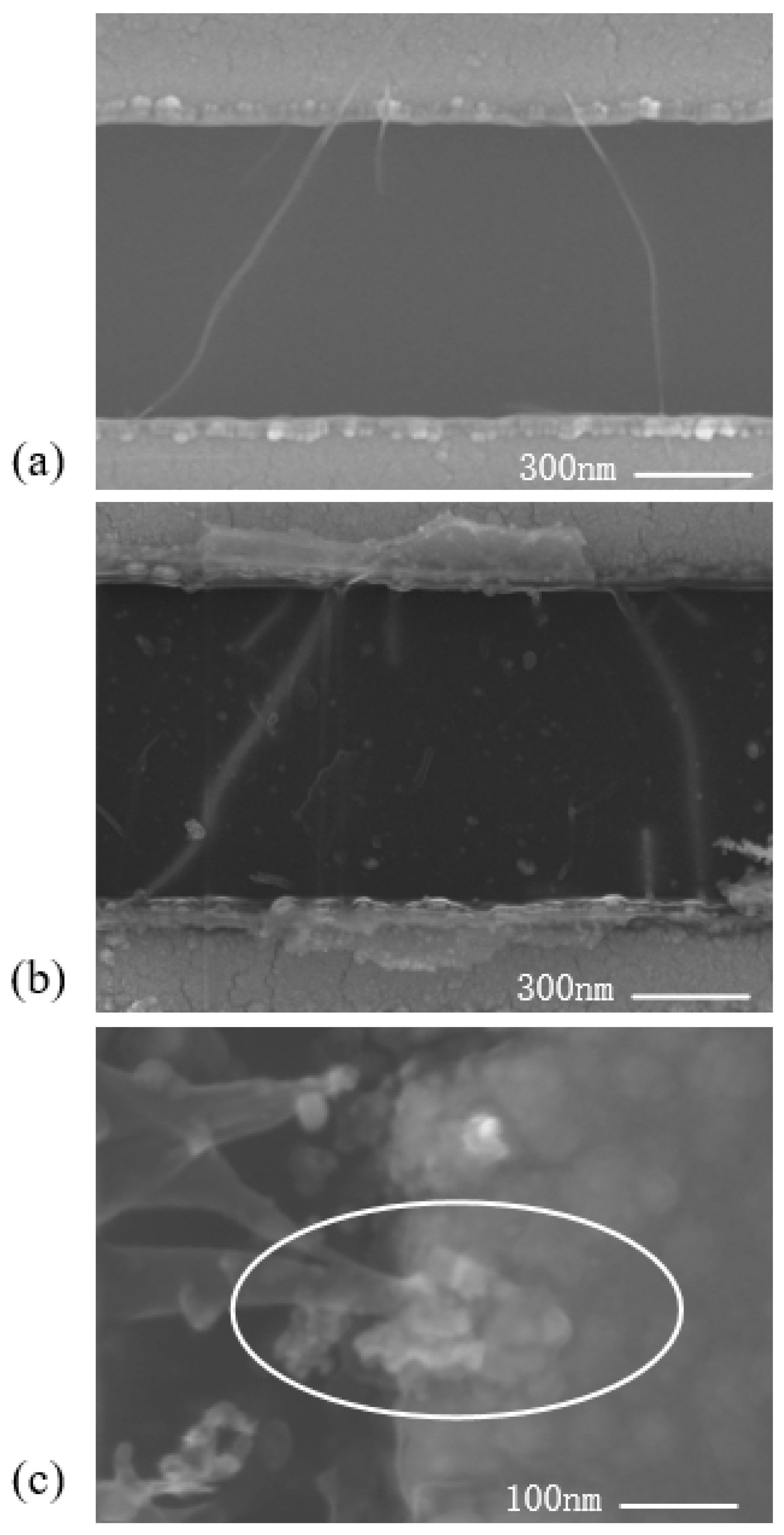 Applsci 09 00476 g003