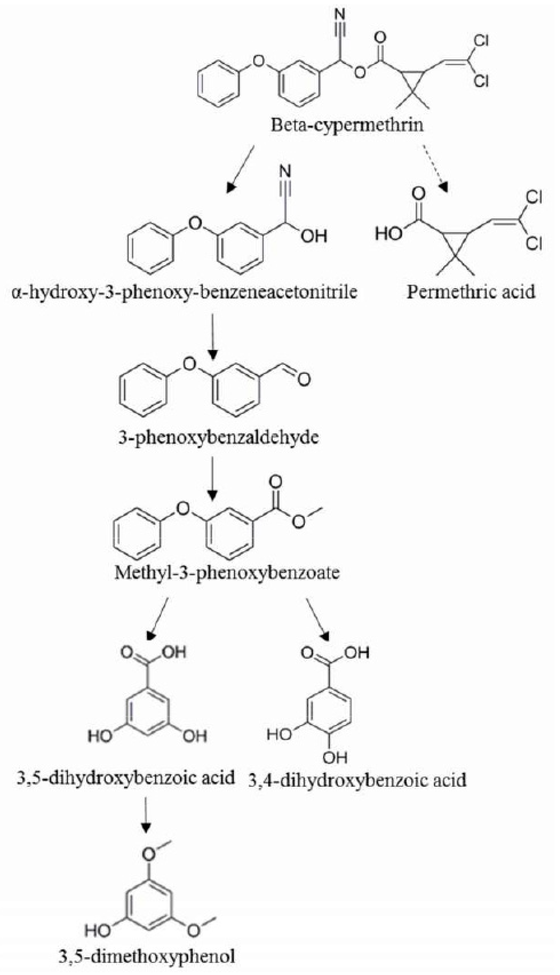 Applsci 09 00477 g003
