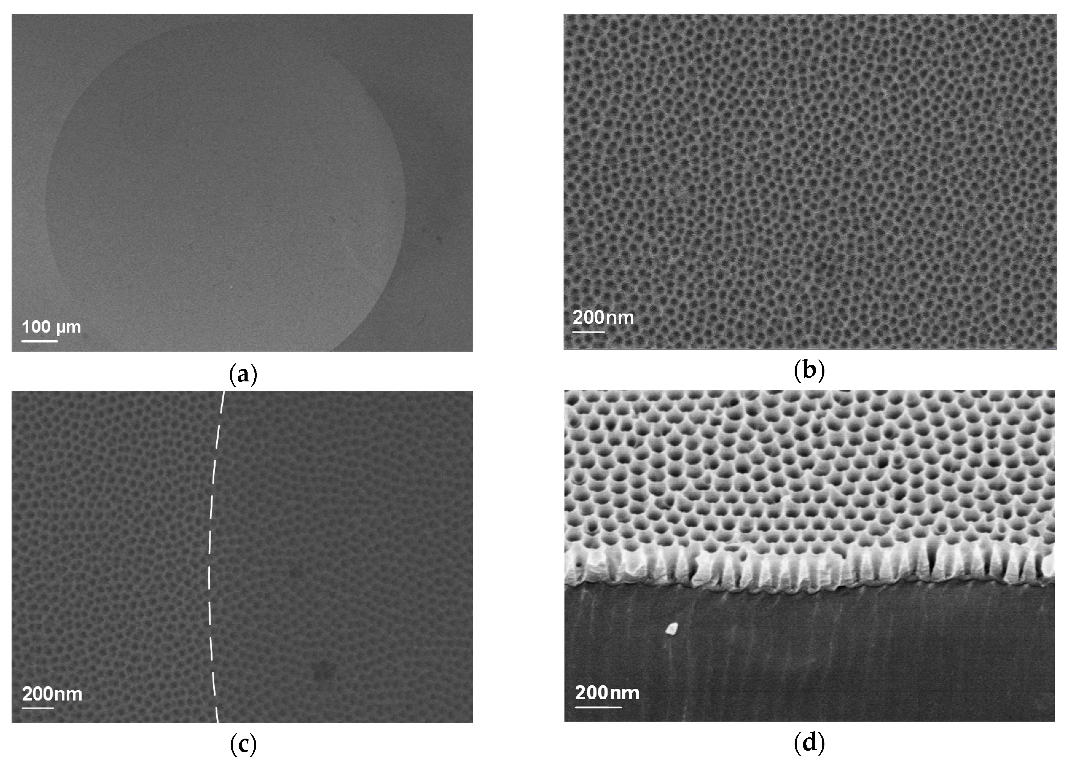 Applsci 09 00487 g007