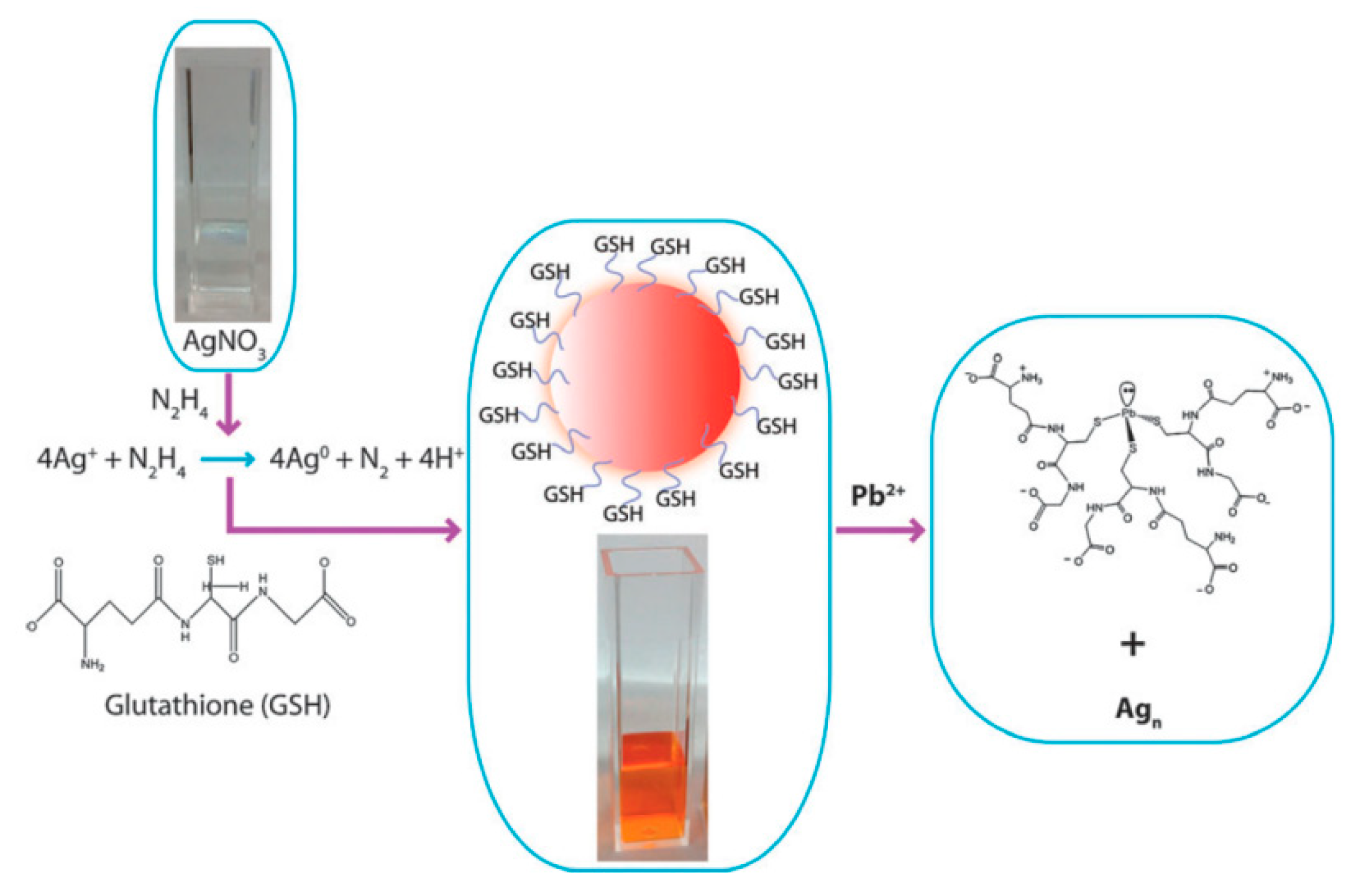 Applsci 09 00489 g002