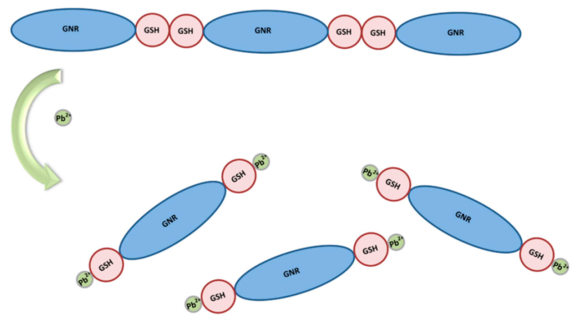 Applsci 09 00489 g004