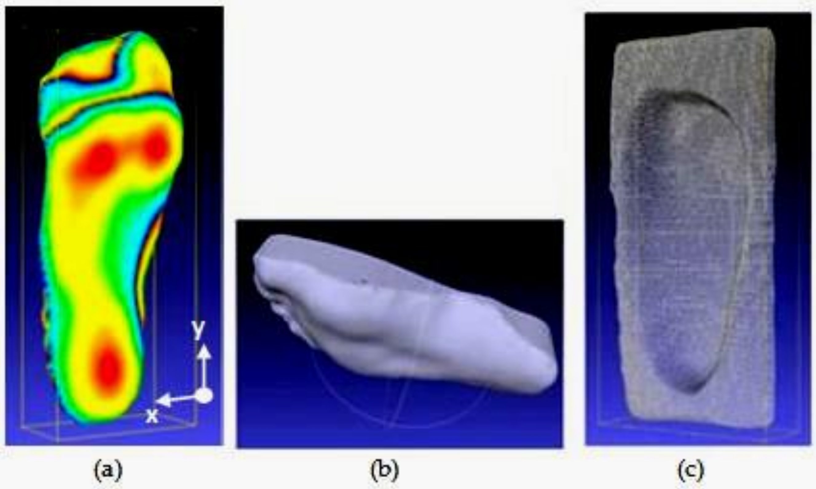 Applsci 09 00495 g002