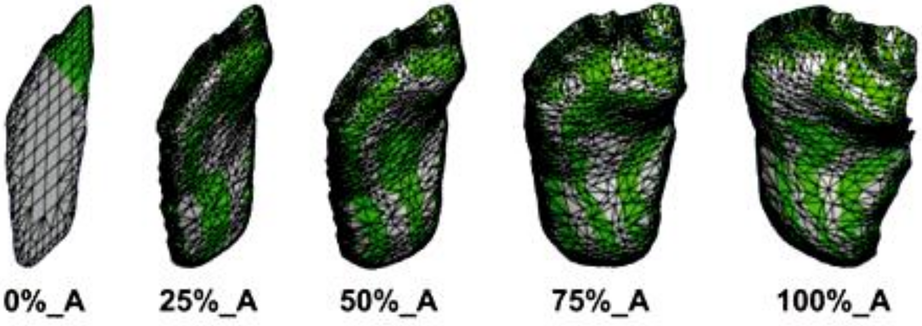 Applsci 09 00495 g005