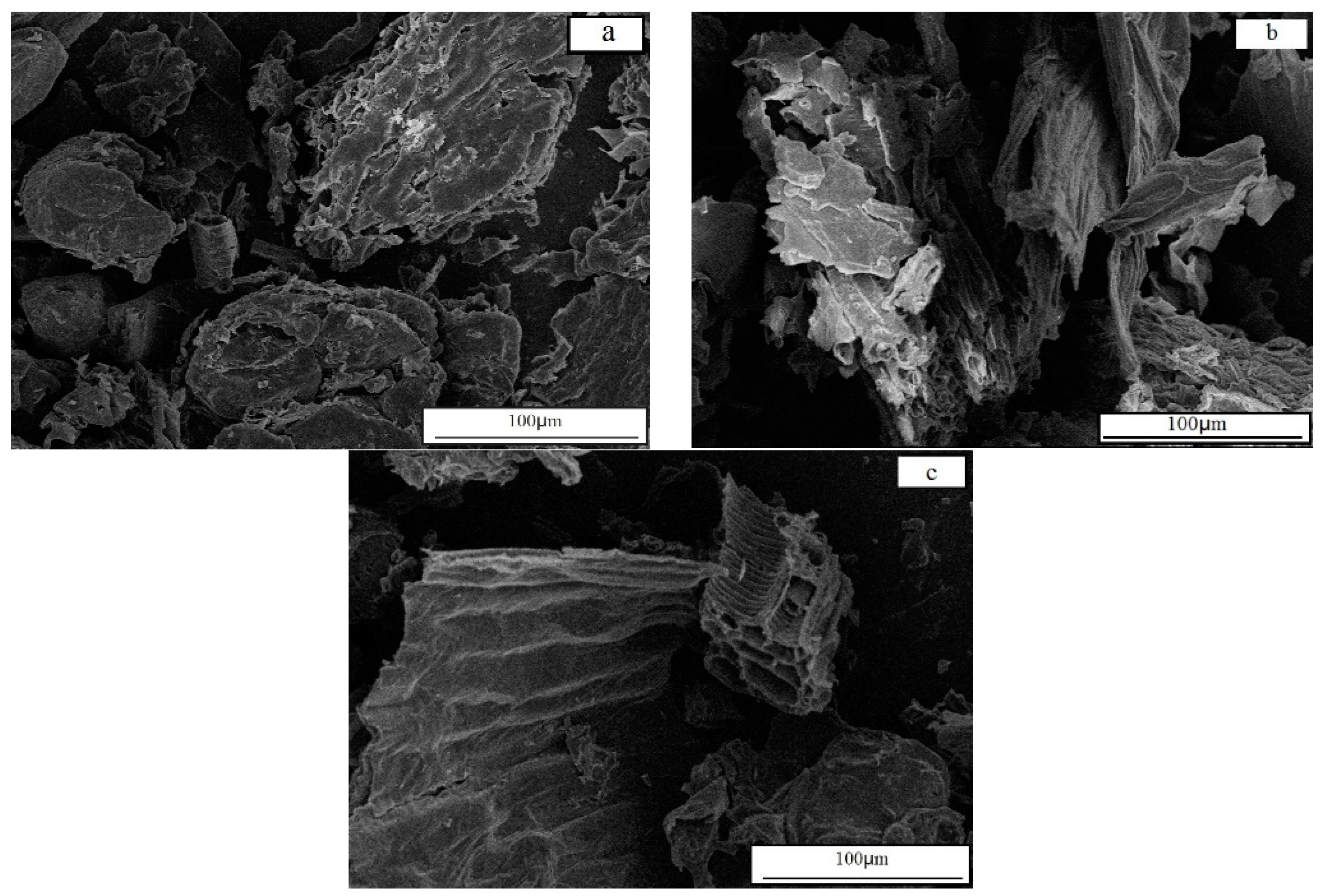 Applsci 09 00504 g004